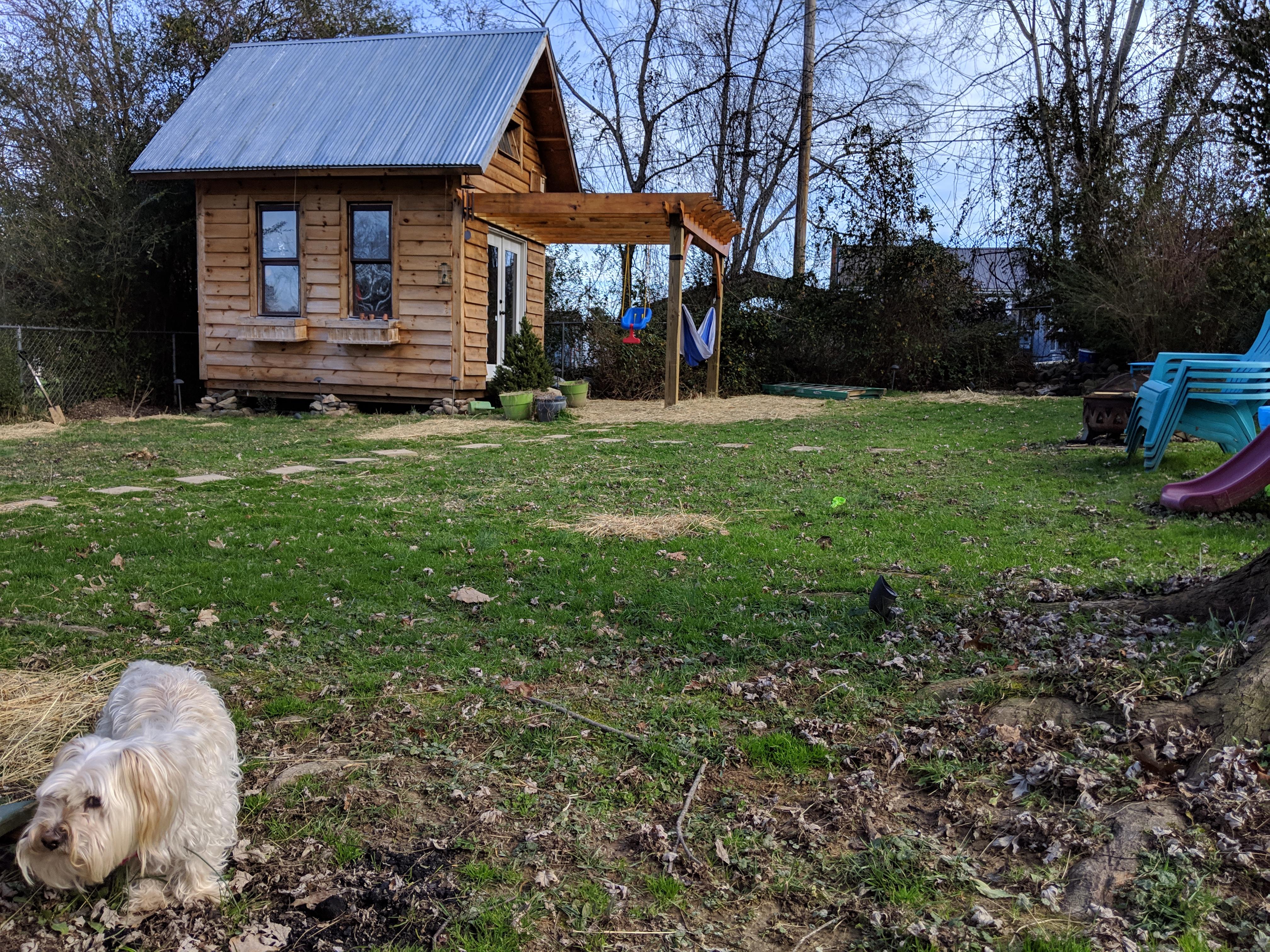 Regrading a ruddy, soggy backyard r/landscaping