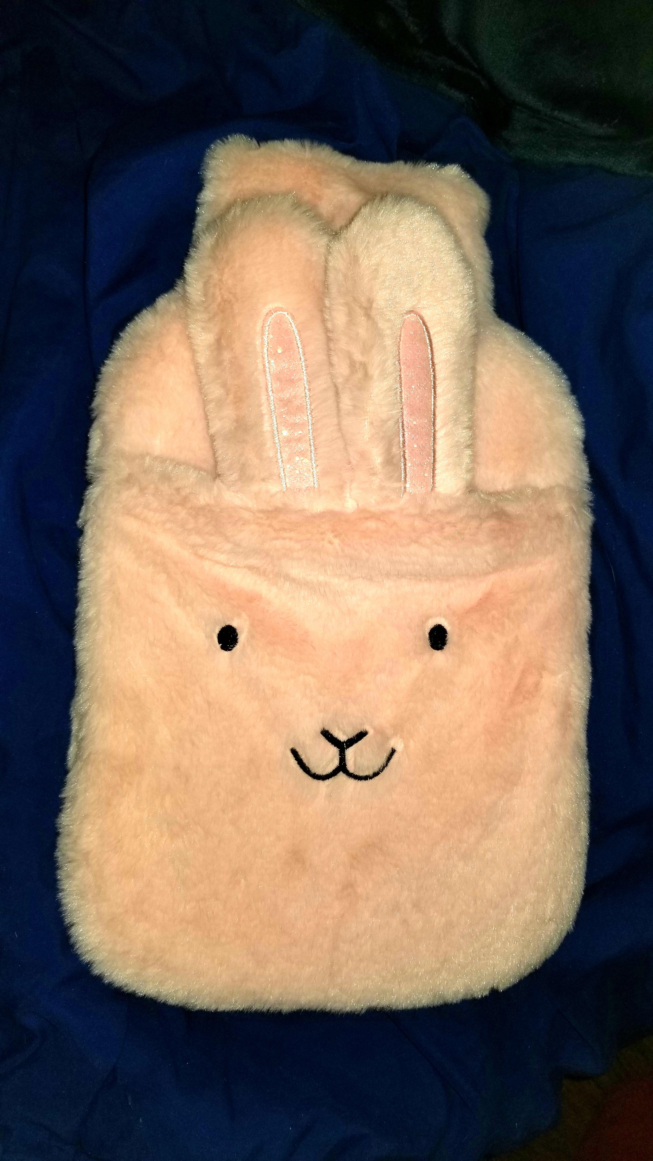 Got a hot water bottle, finally. It's too cute r/endometriosis