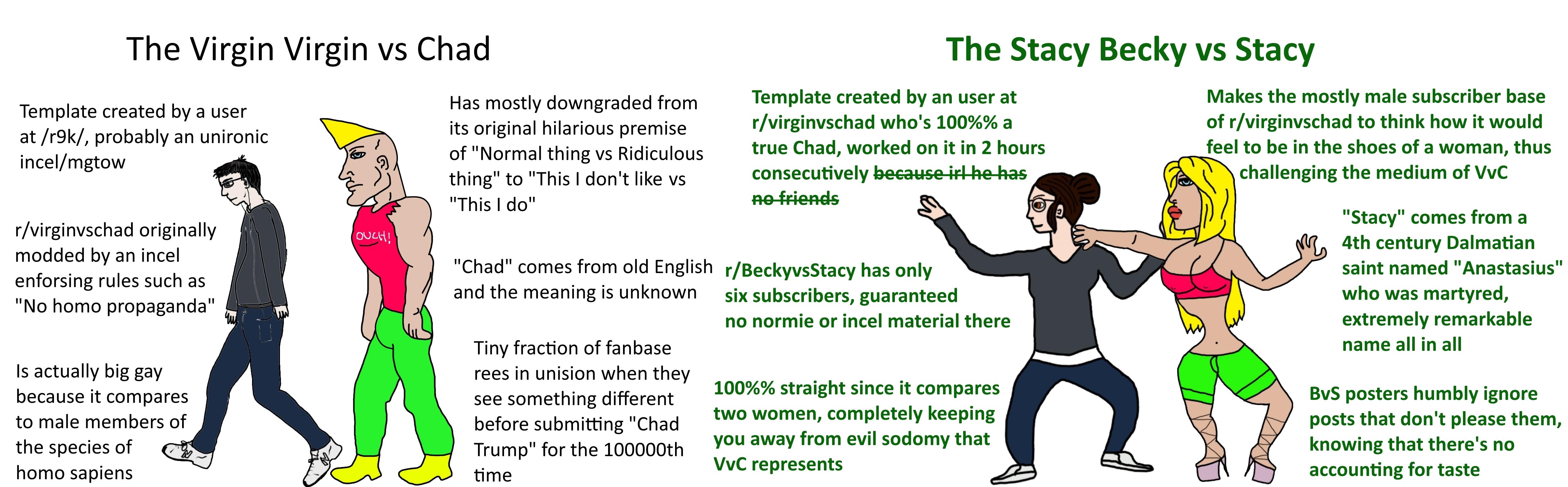 The Virgin Virgin vs Chad VS The Stacy Becky vs Stacy r/virginvschad