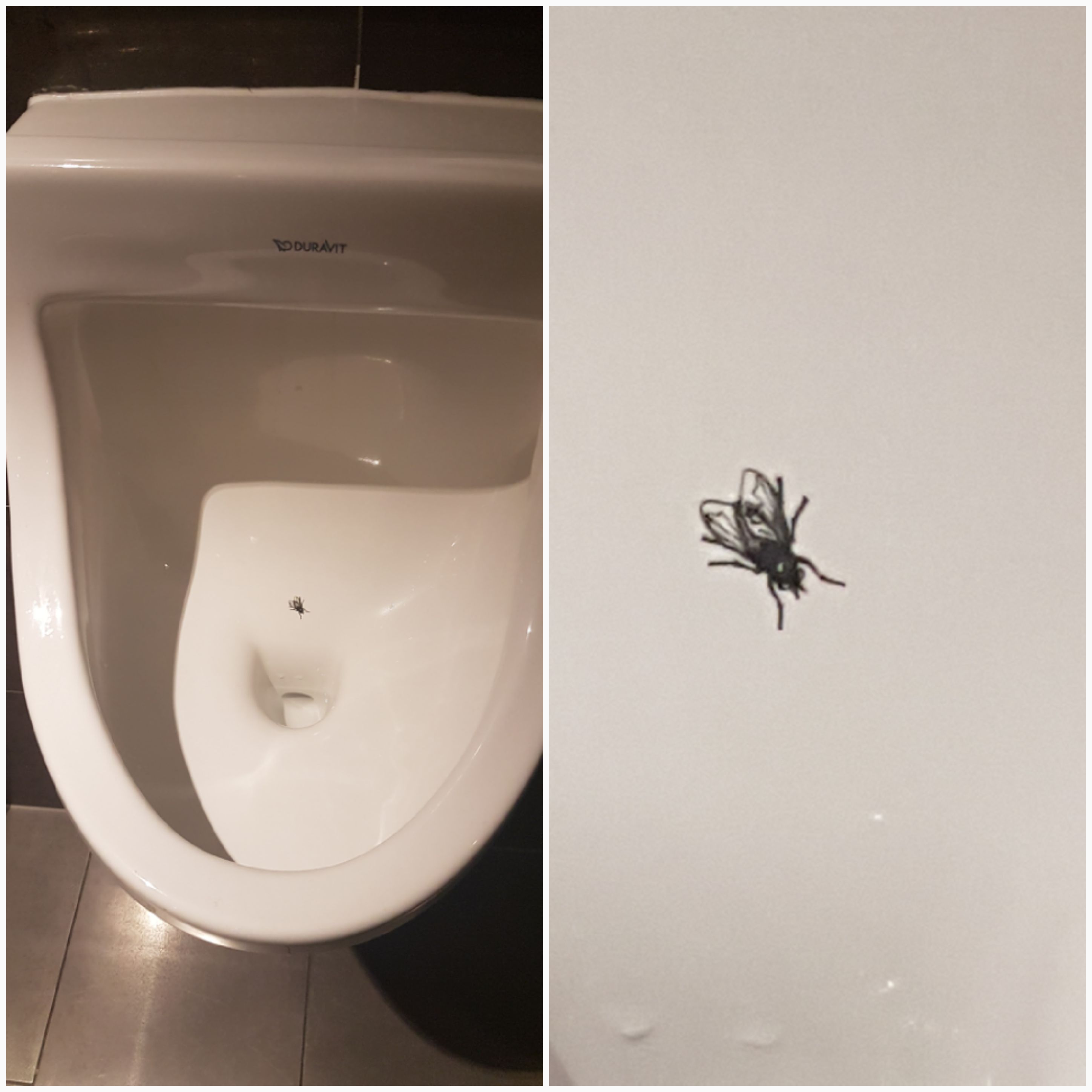 This men's room urinal has a fly etched into the ceramic to encourage