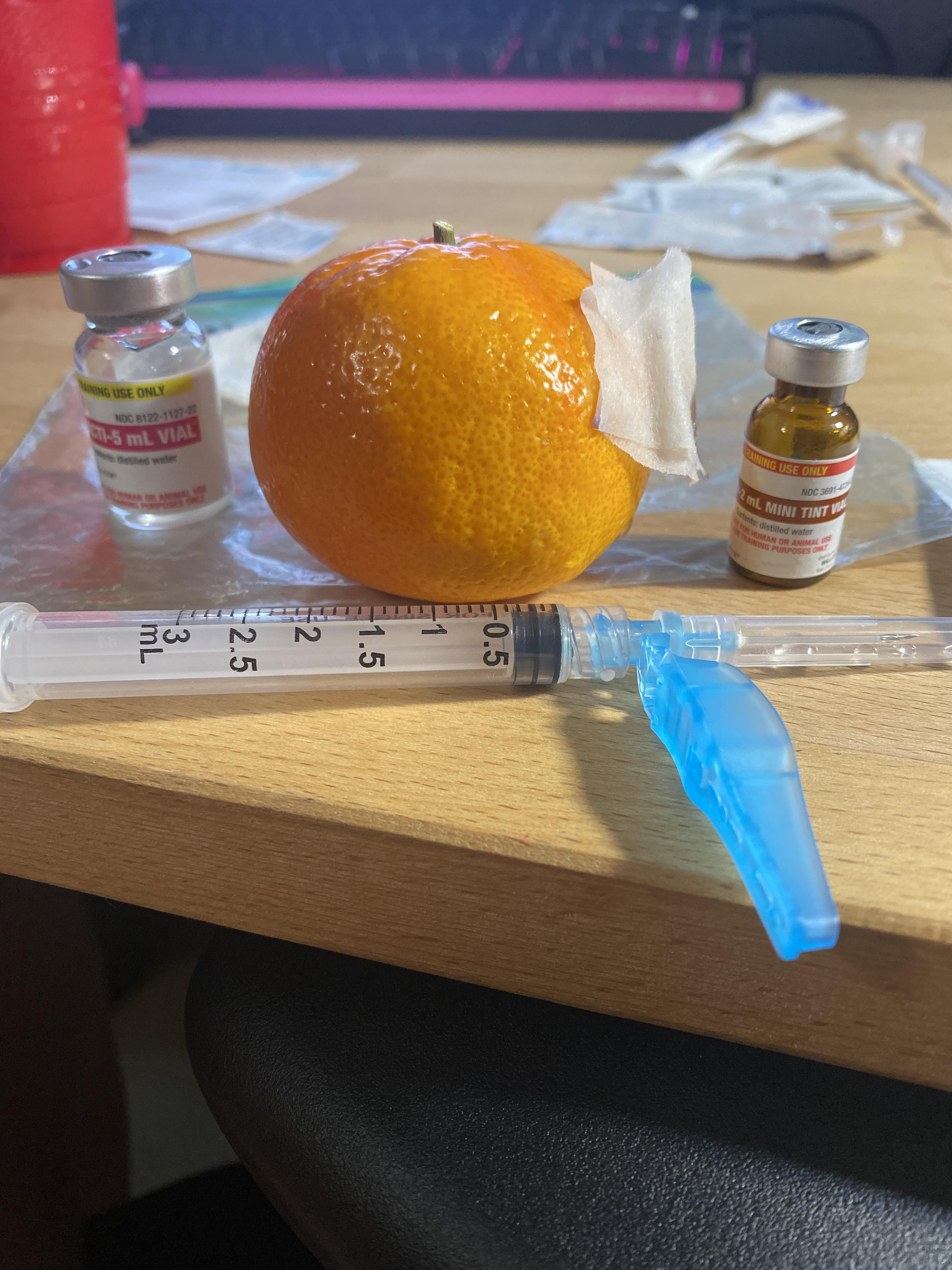 You’re in nursing school when you talk to an orange and say it’ll be a