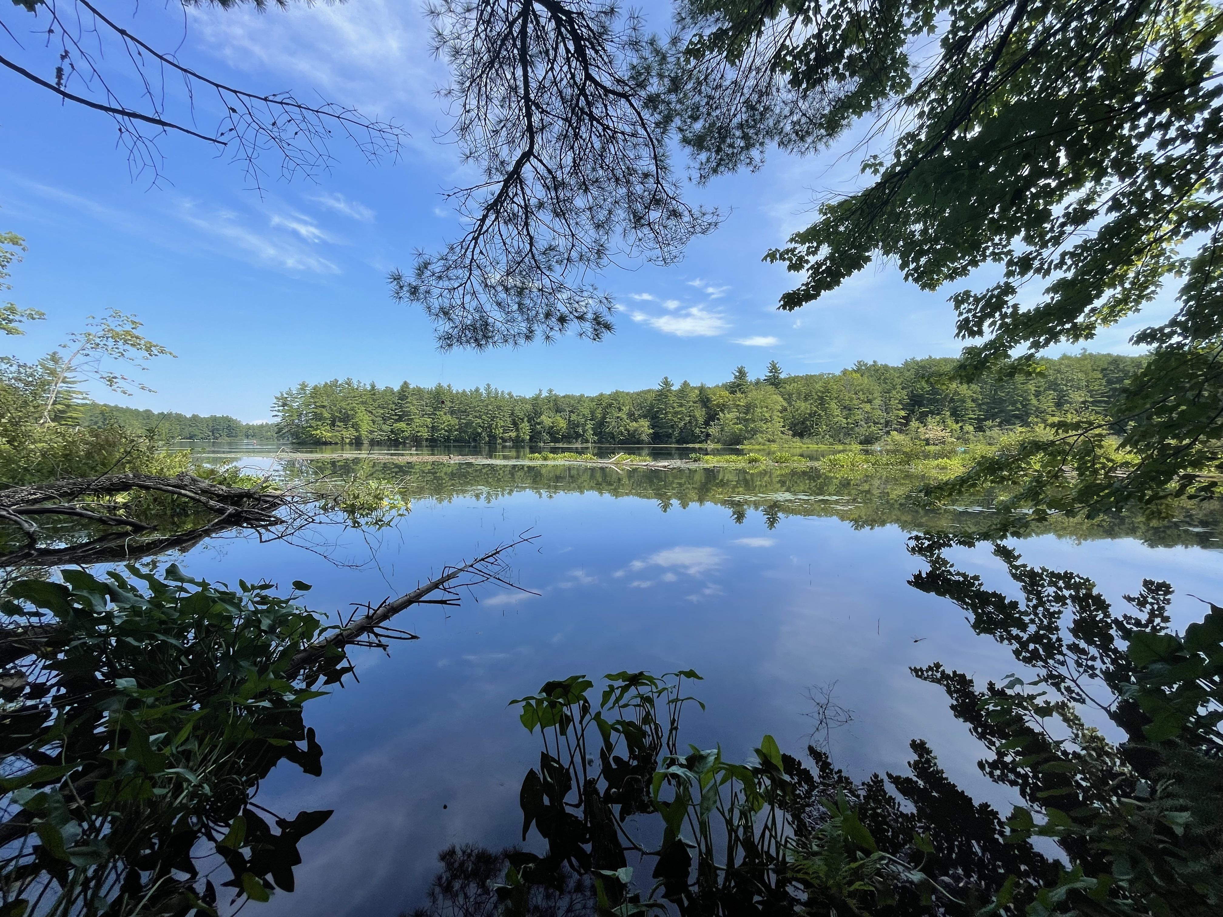 Recently discovered Shaw Park in Gorham. What a great spot for kayaking