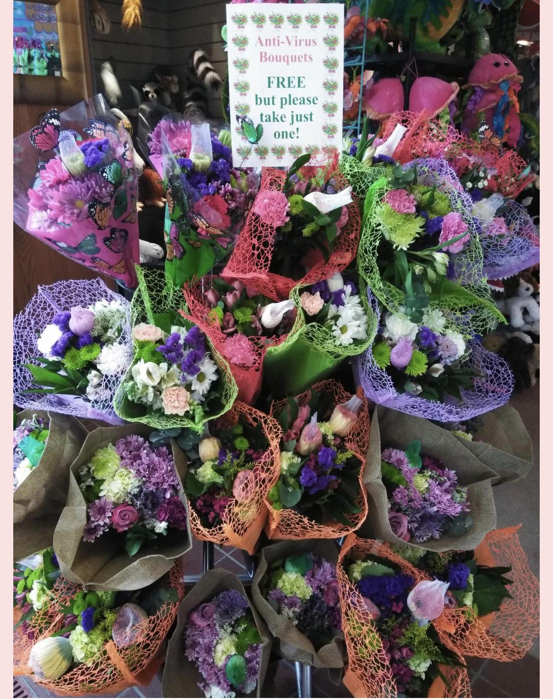 Norton’s Free Flowers? You betcha! We have 50 fresh and beautiful