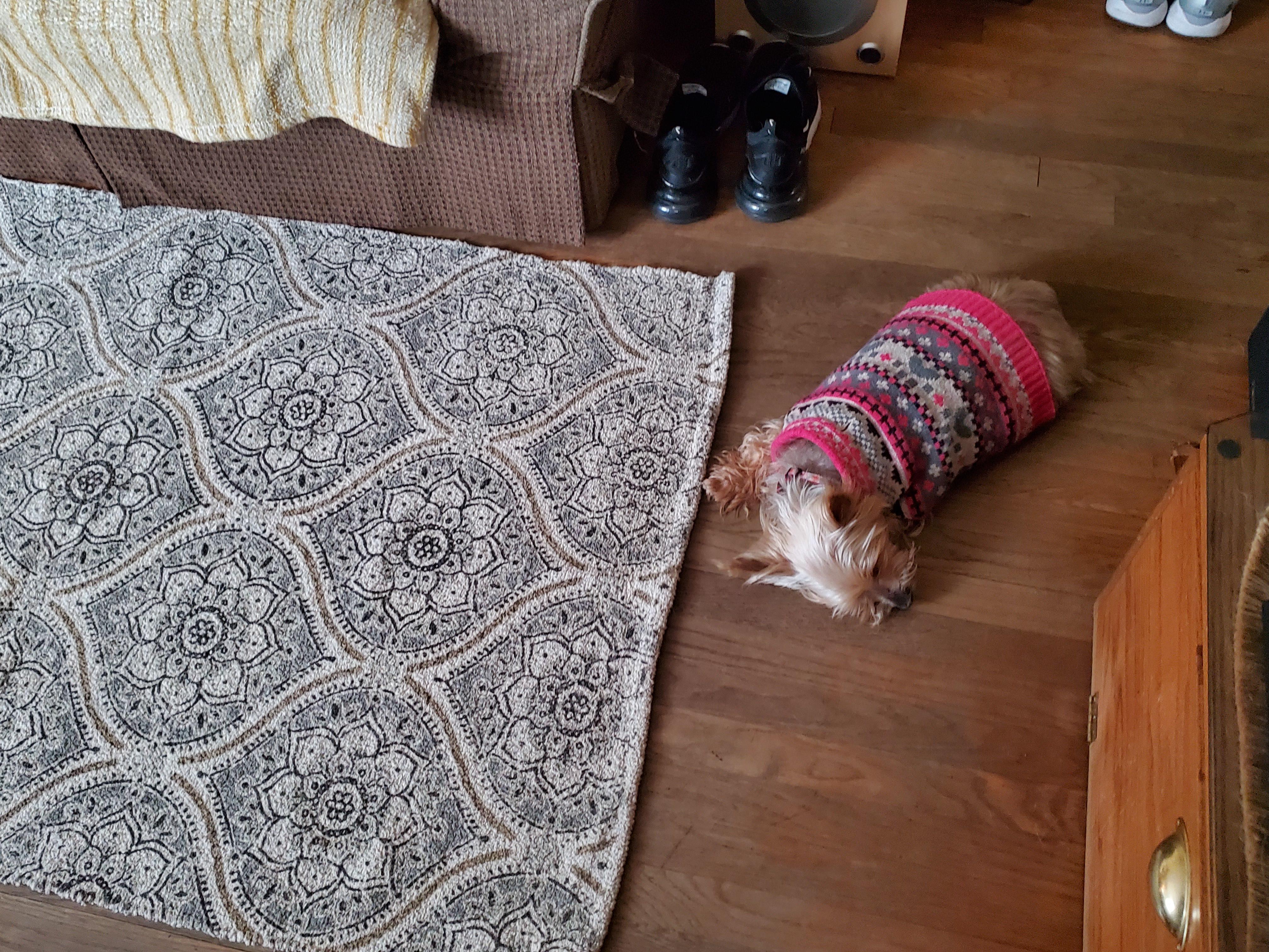 To sleep on the rug r/AnAttemptWasMade