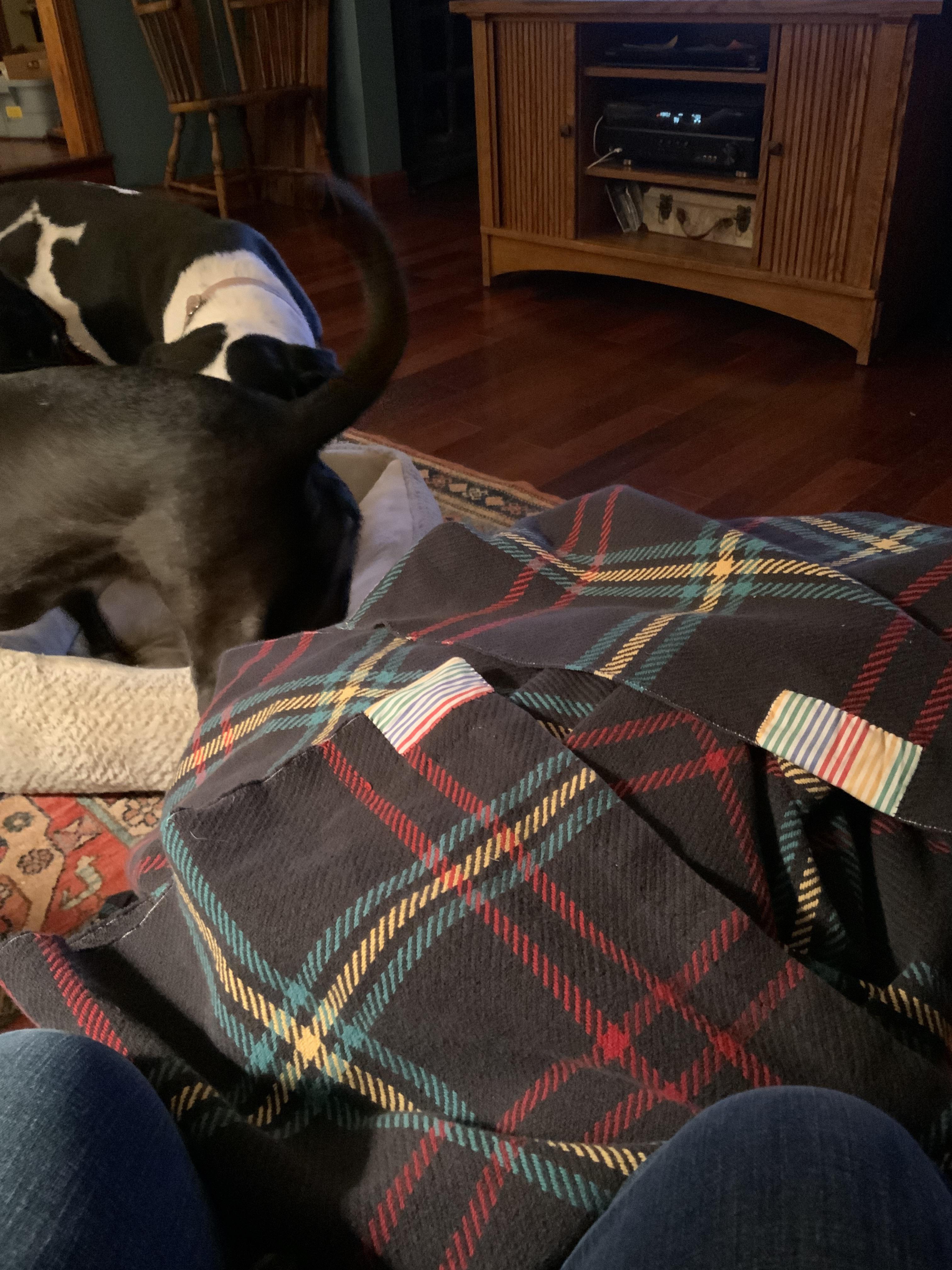 My dog chewed the corner and on one side of this cotton blanket. I have