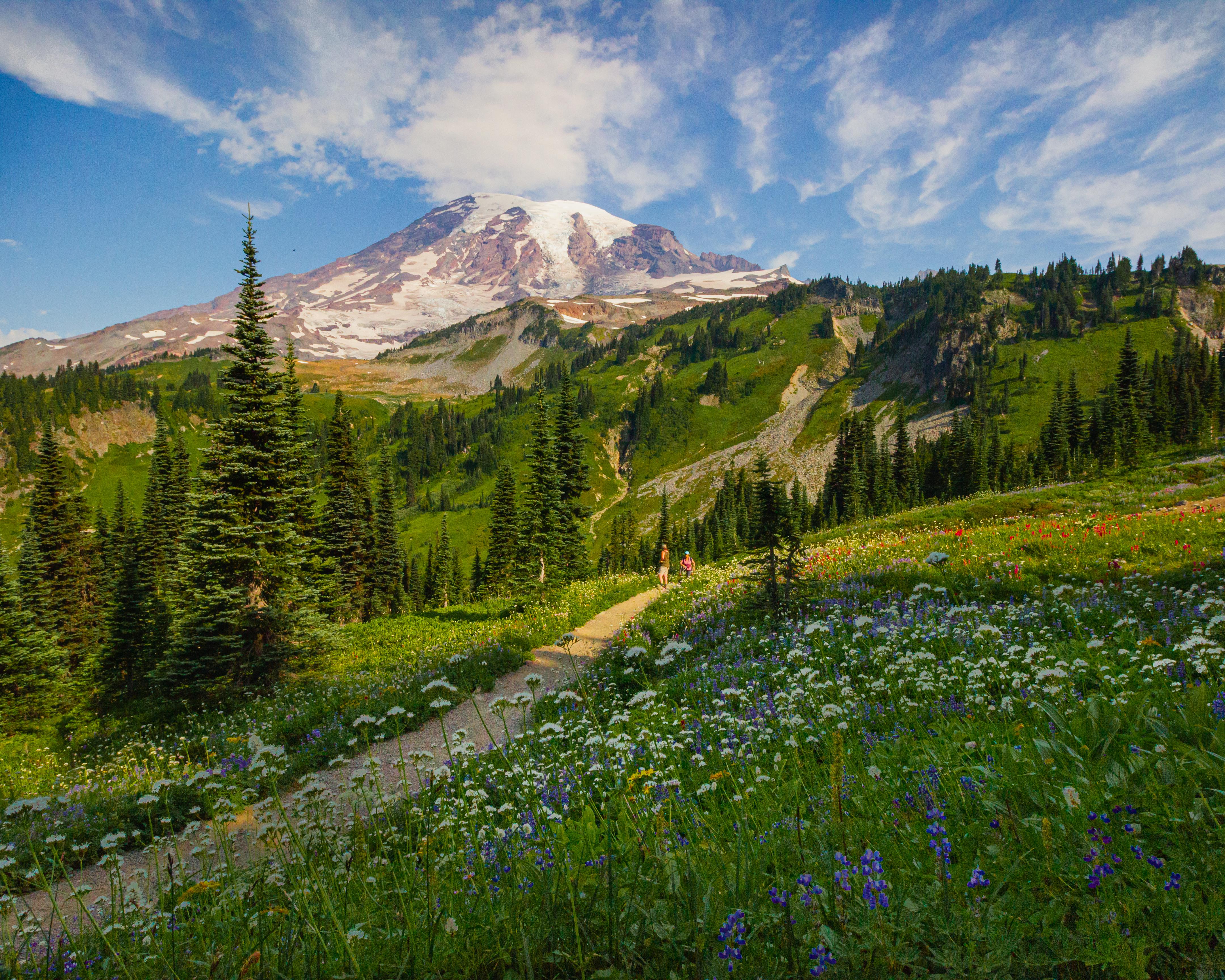ITAP of Mt. Rainier in Washington r/itookapicture