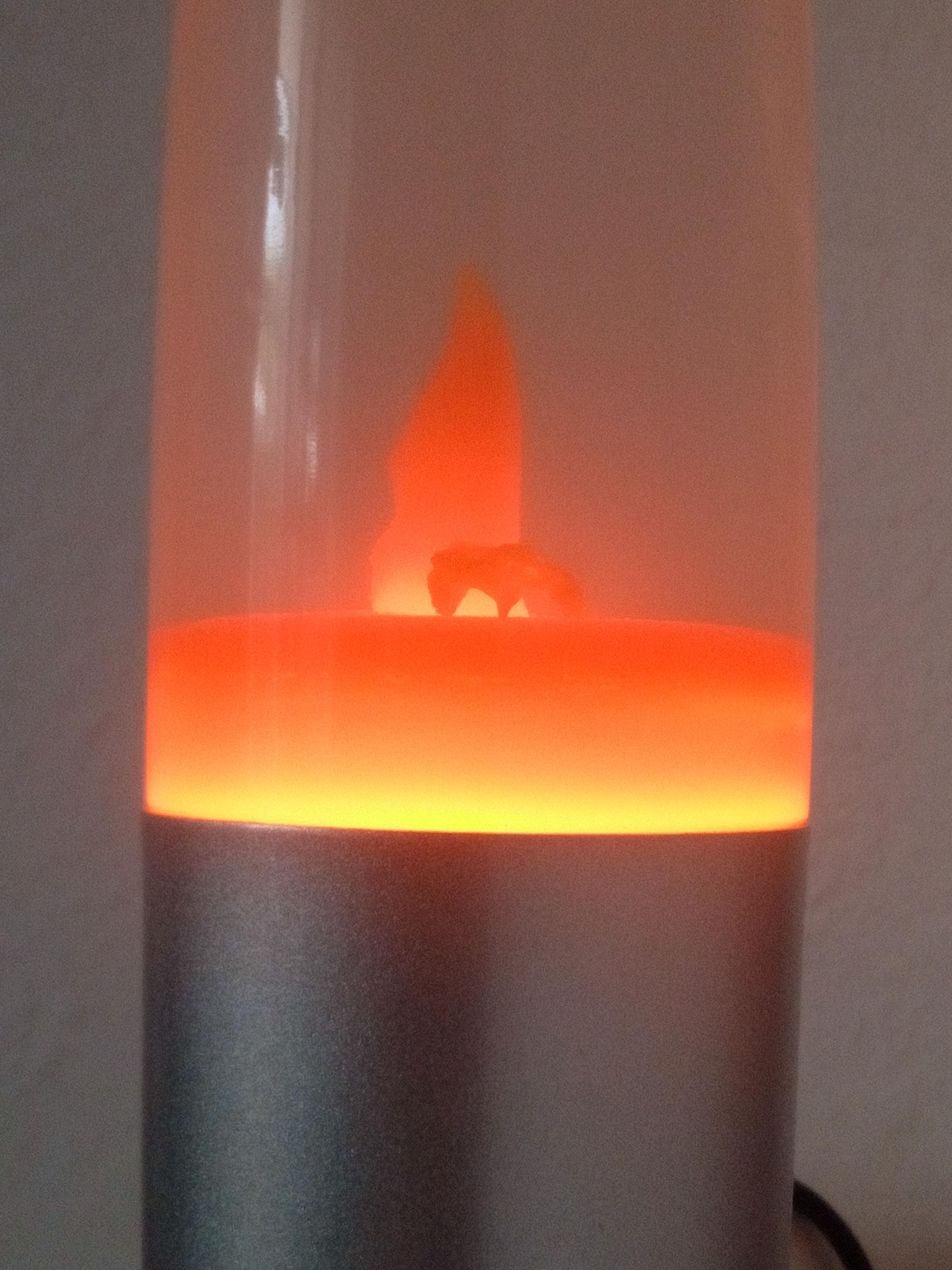 Lava lamp heating up and this cattle is grazing as the world is on fire