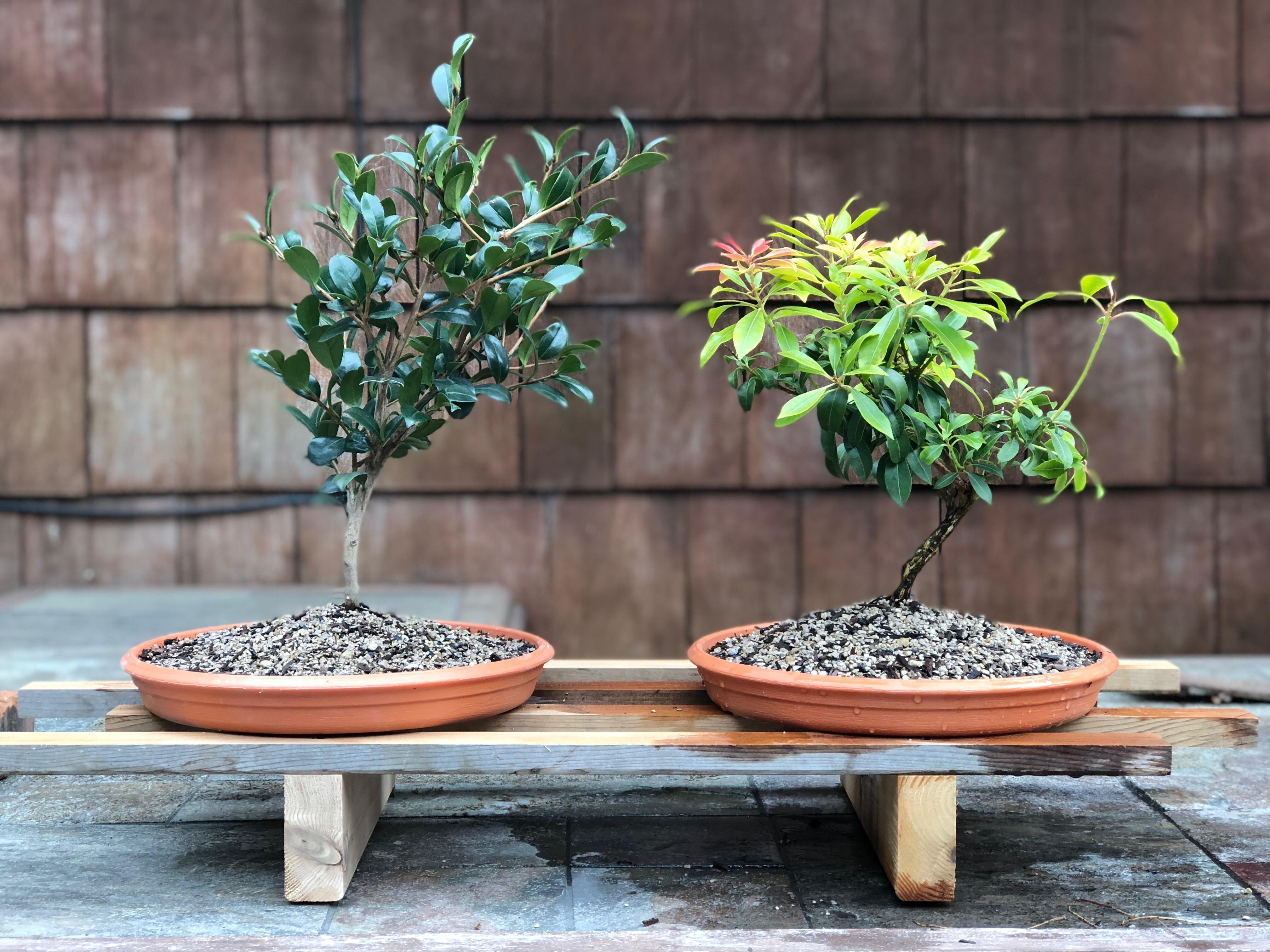 I was the guy who got his grandfathers awesome tools, one trip to Home