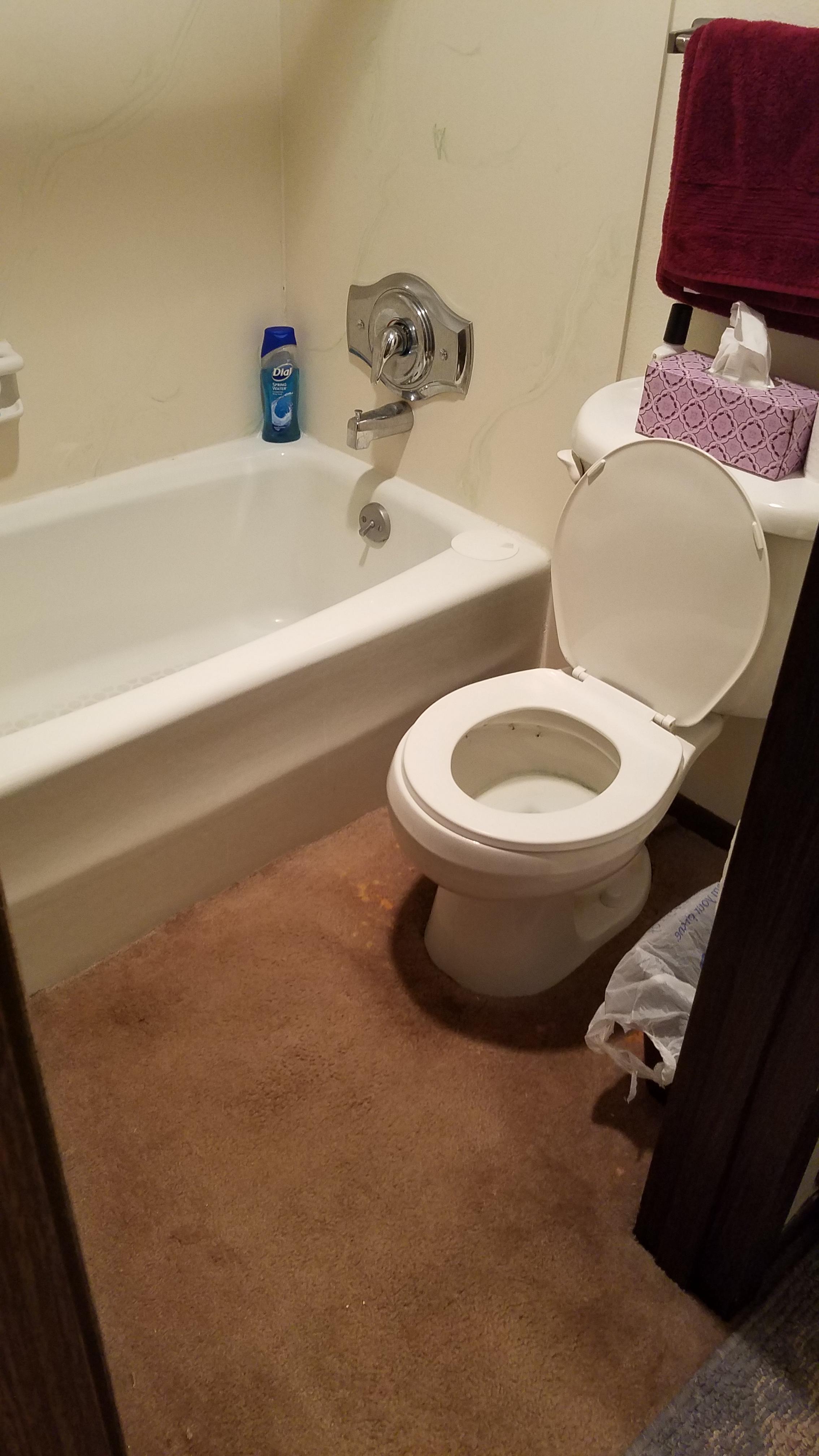 This carpeted bathroom r/awfuleverything