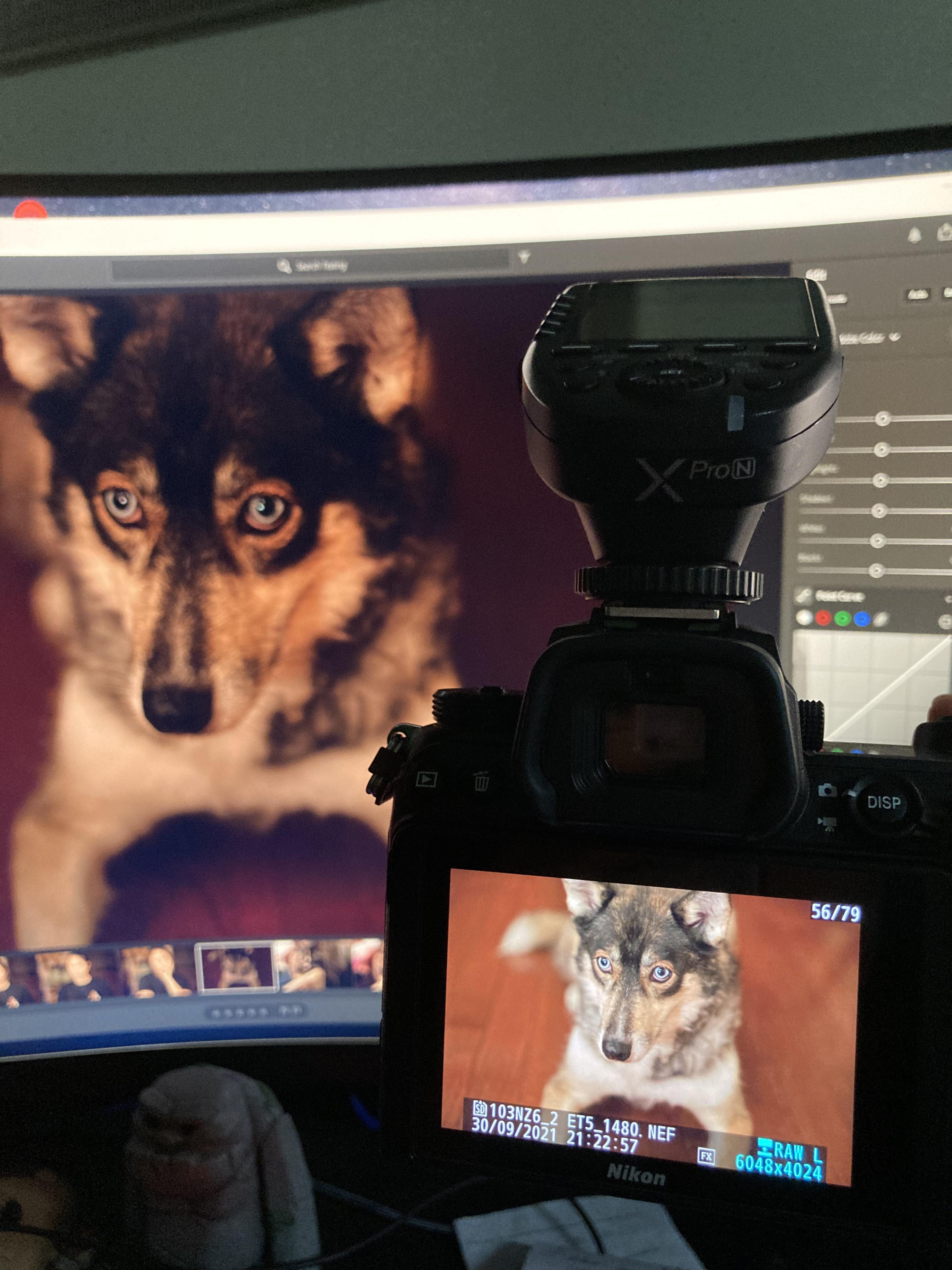 Z6ii USERS HELP! I upload my photos, and as you can see, the Lightroom image is MUCH darker. My