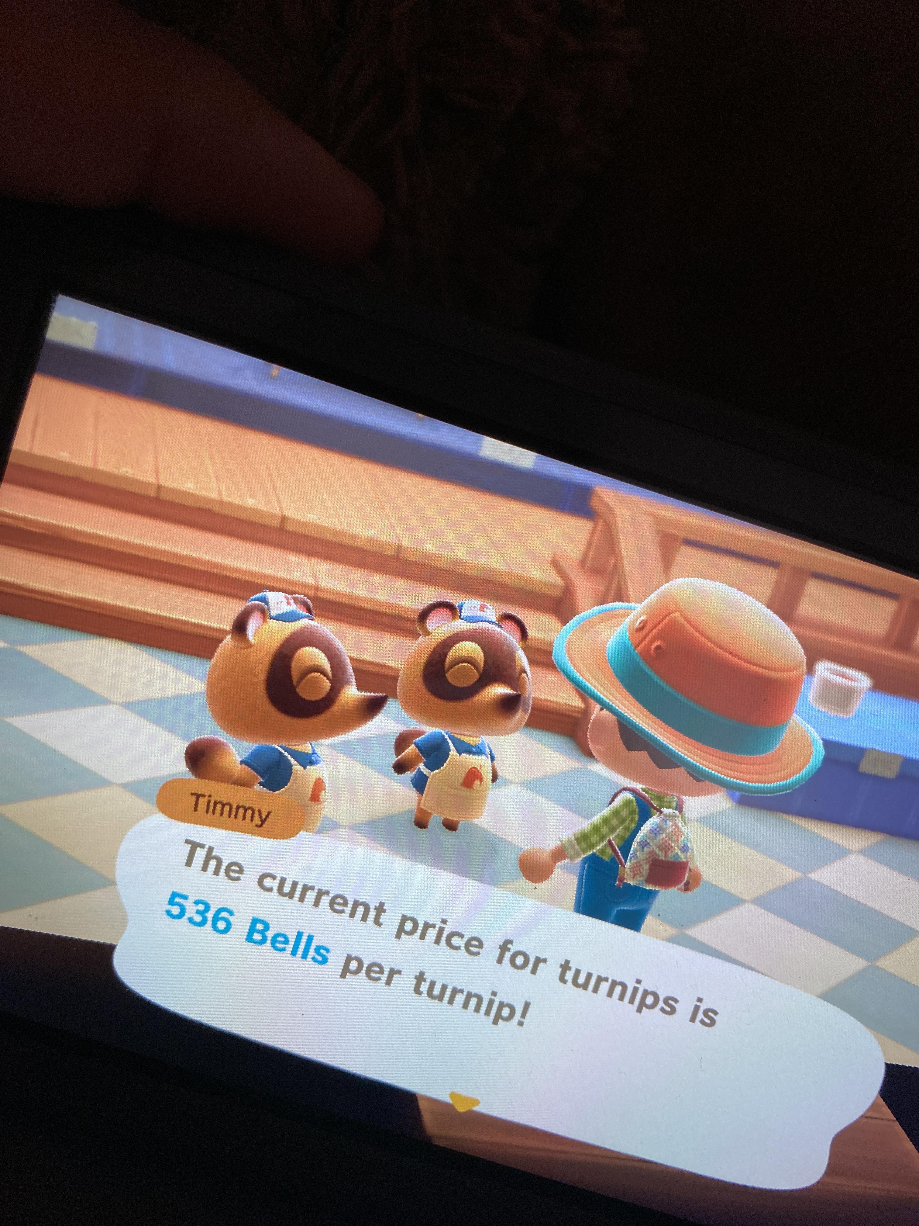 Turnip price! DM if interested. No fee but tips appreciated. Only