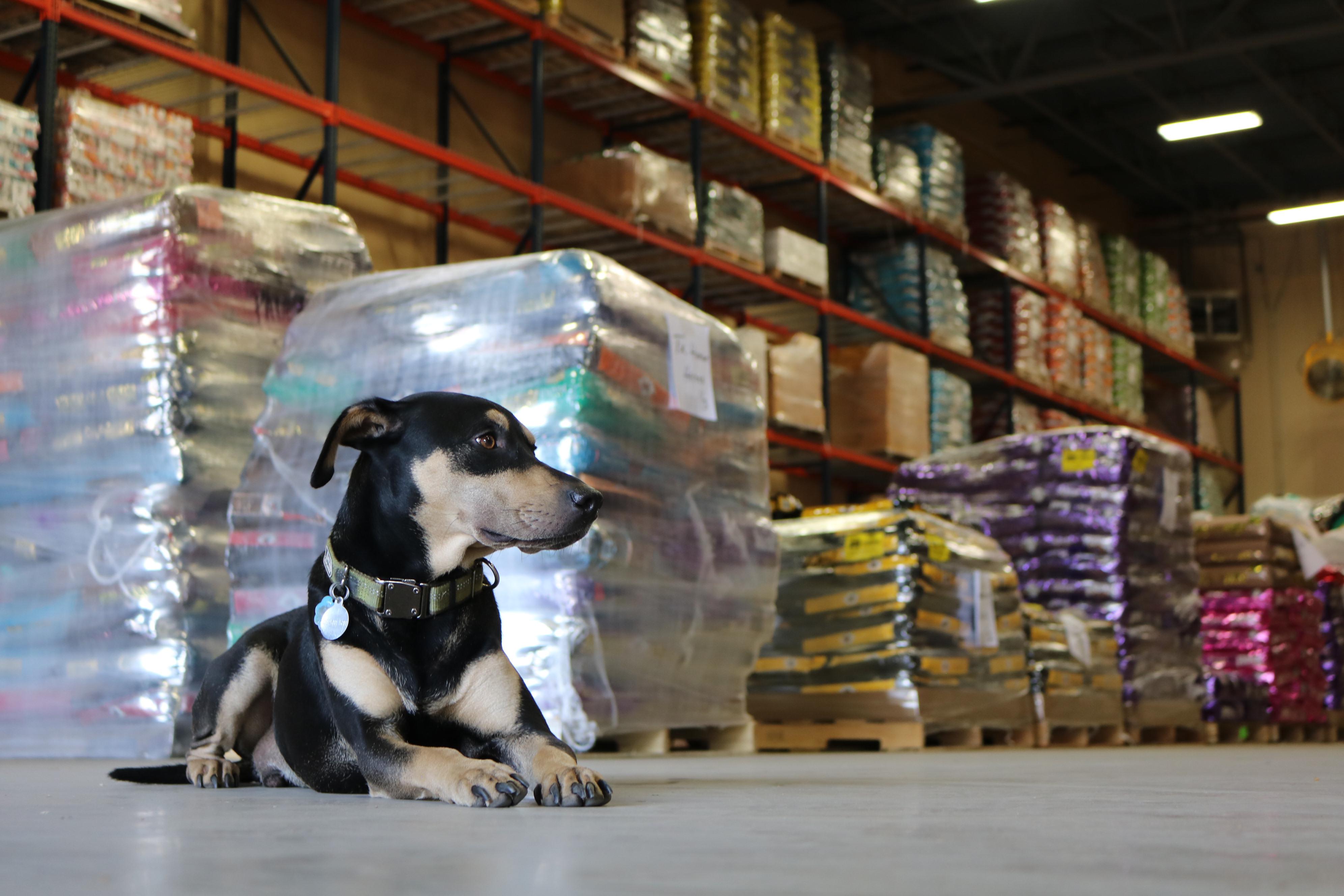 Tomlinson's Feed raised 163,584 lbs. of donated, highquality pet food