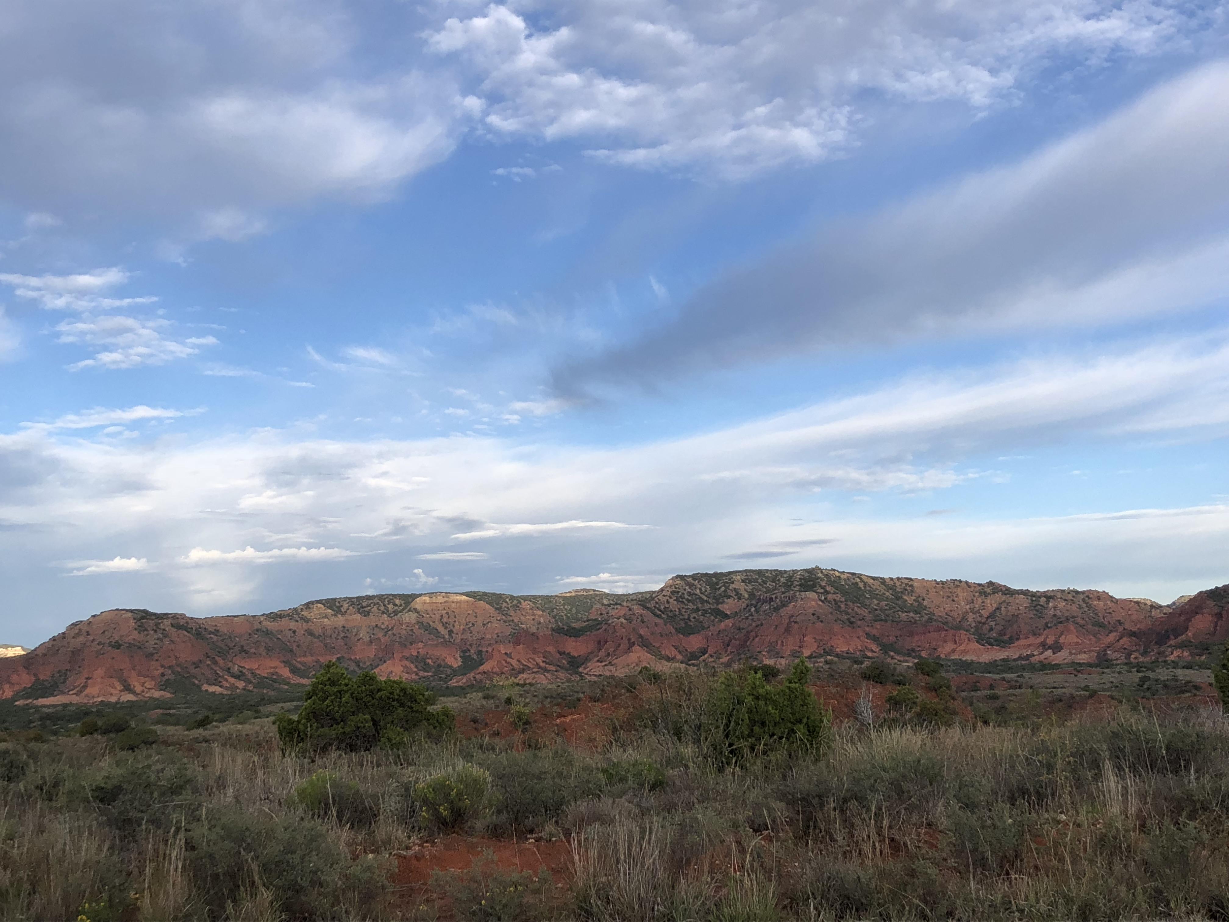 The bummer about hiking is you see a lot of beautiful places that no
