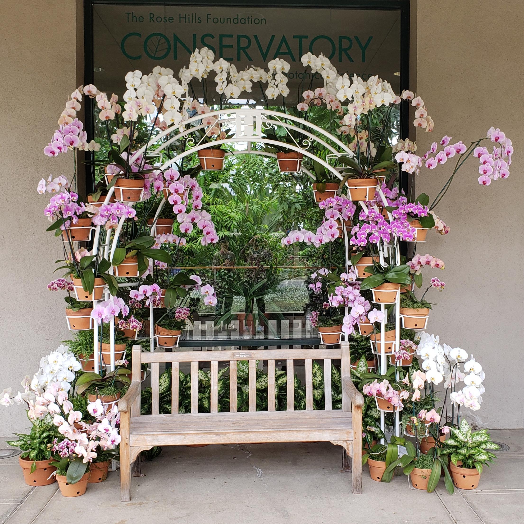 This display at the Huntington Gardens CA r/orchids