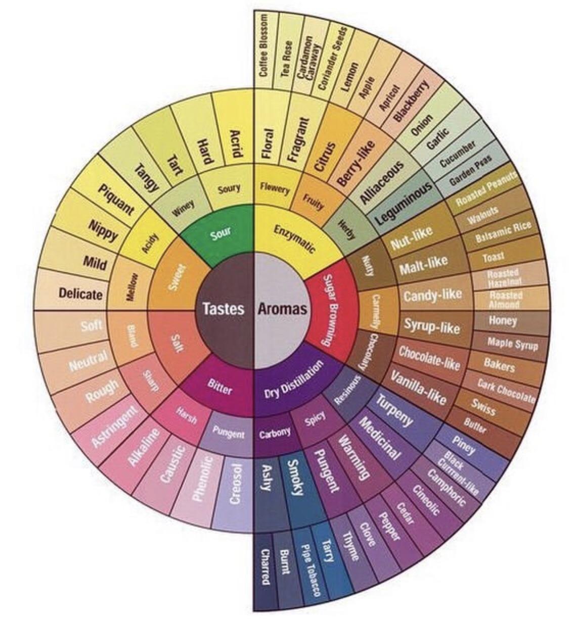 Tastes and smells, explained r/coolguides