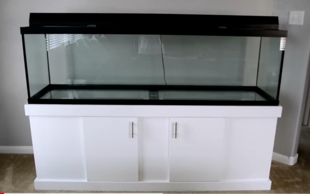 125 gallon should I go freshwater or saltwater? r/Aquariums
