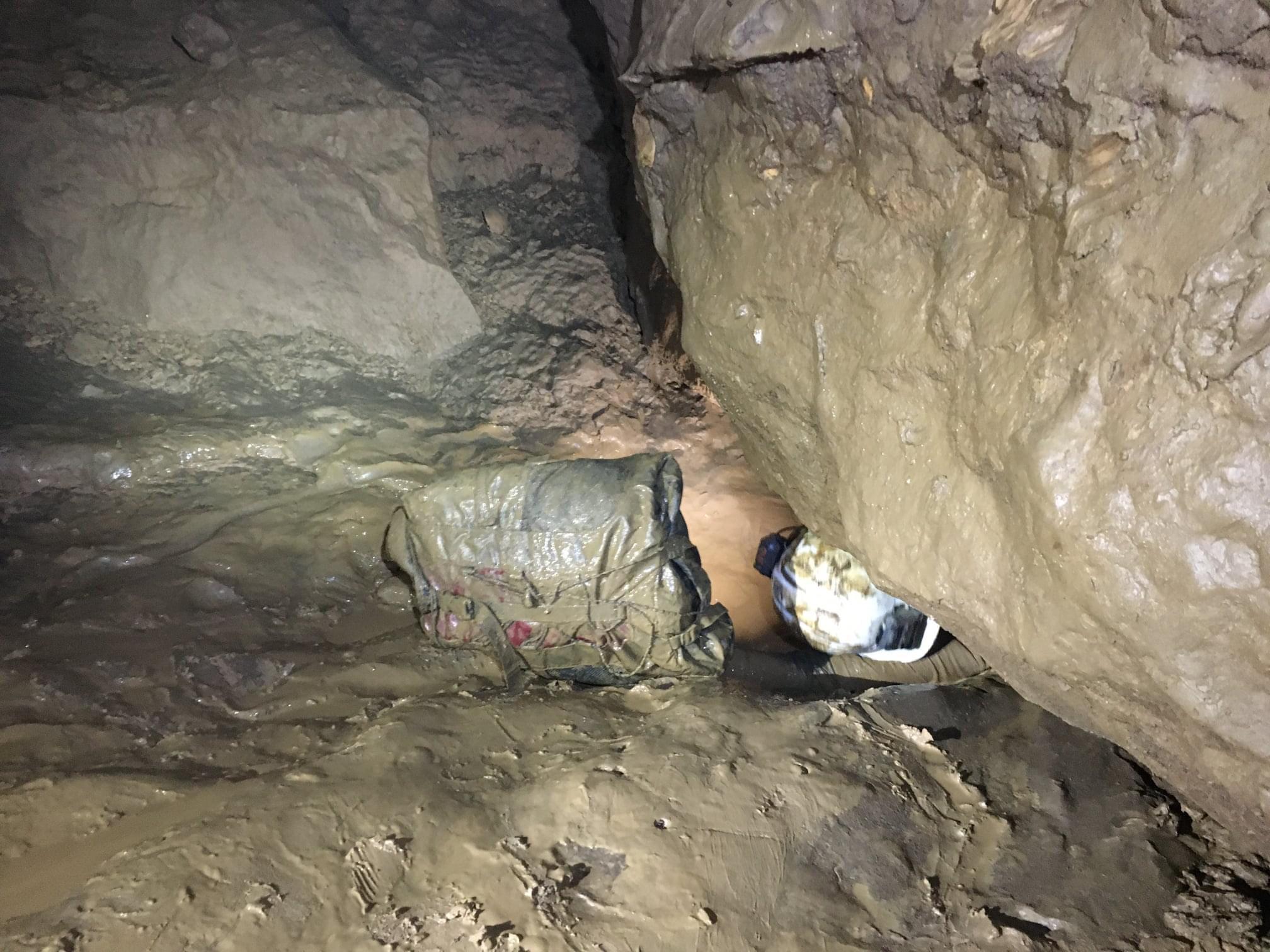 John Jones Cave Photos How Much Net Worth Did Bart The Bear Own? His