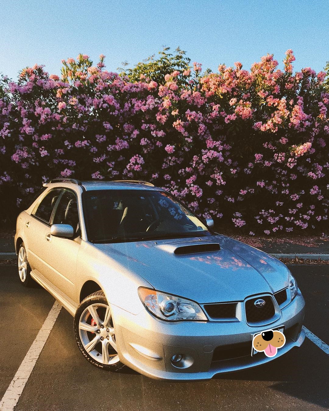 My new old car hawkeye wagon! r/WRX