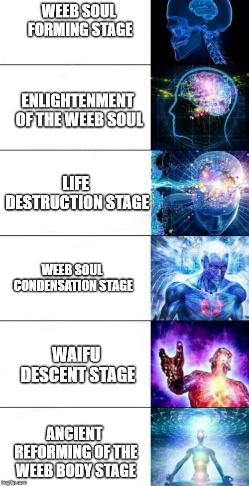 Cultivation stages of the weeb Animemes