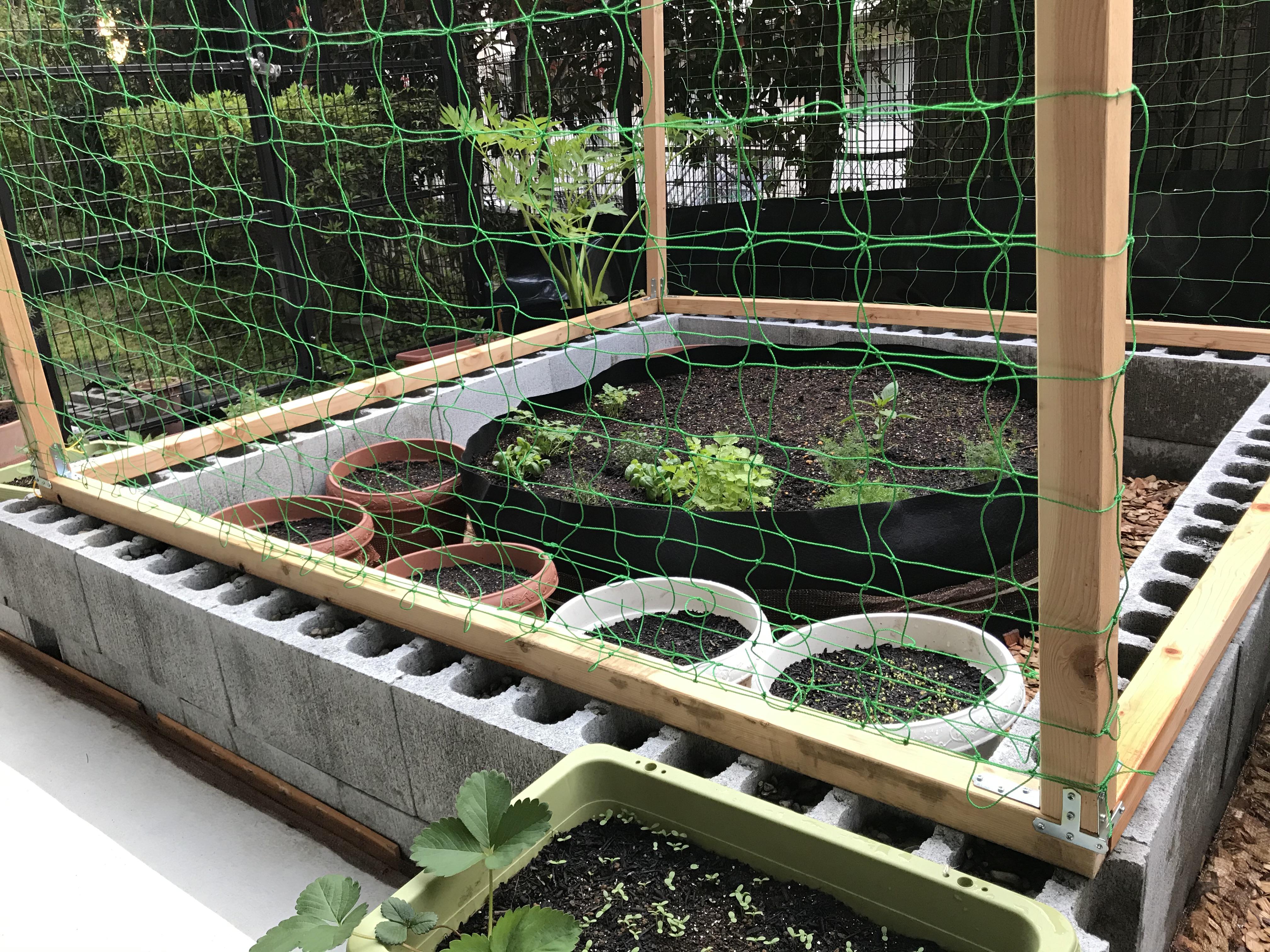 Got the beginnings of my first garden in Tokyo going. Small but