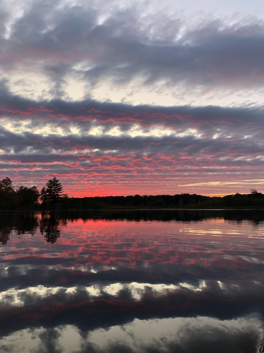 My favorite landscape pic at Roy Lake MN a few years back r/pics