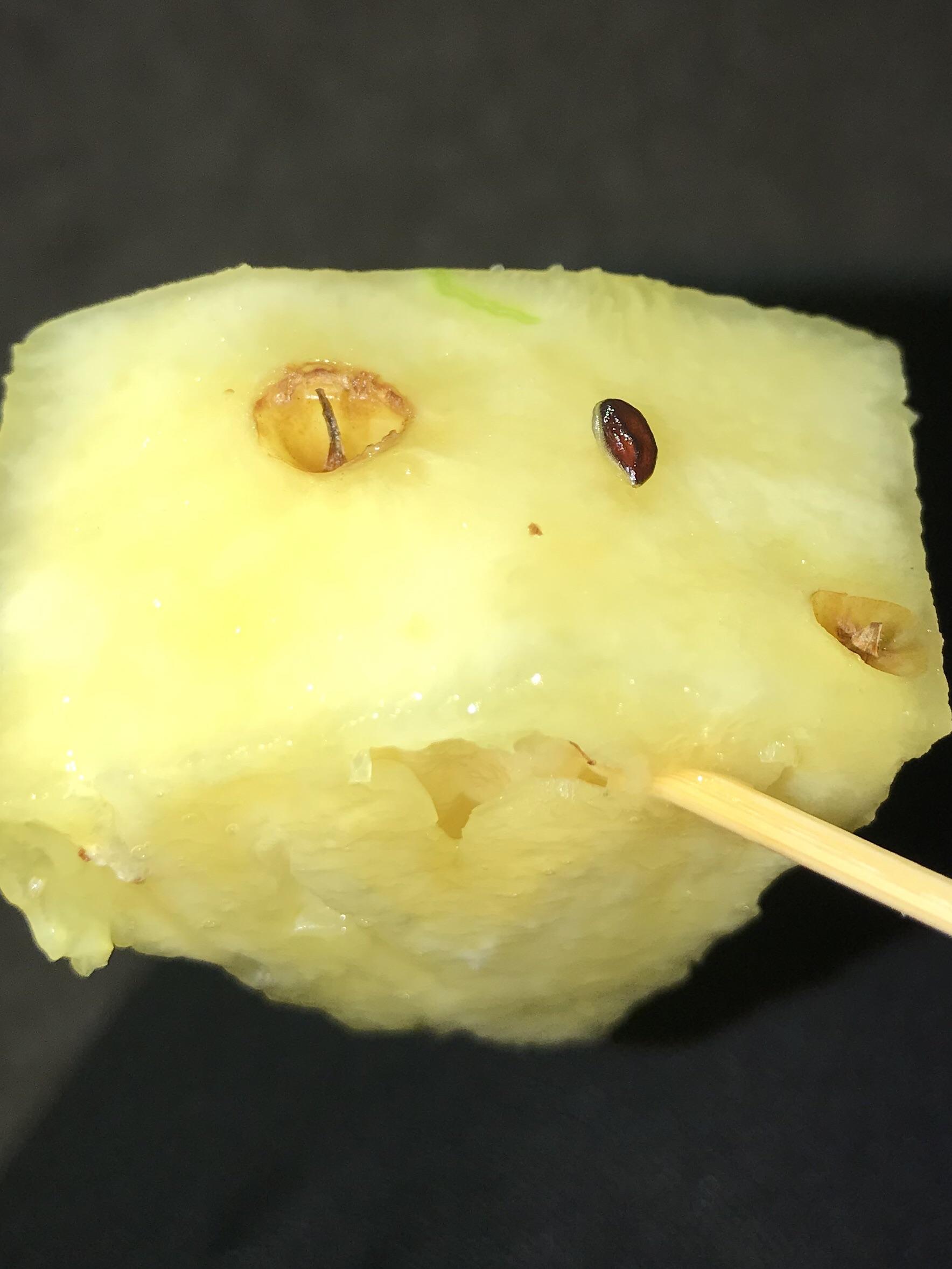 Pineapple seed (small dark brown oval) r/mildlyinteresting