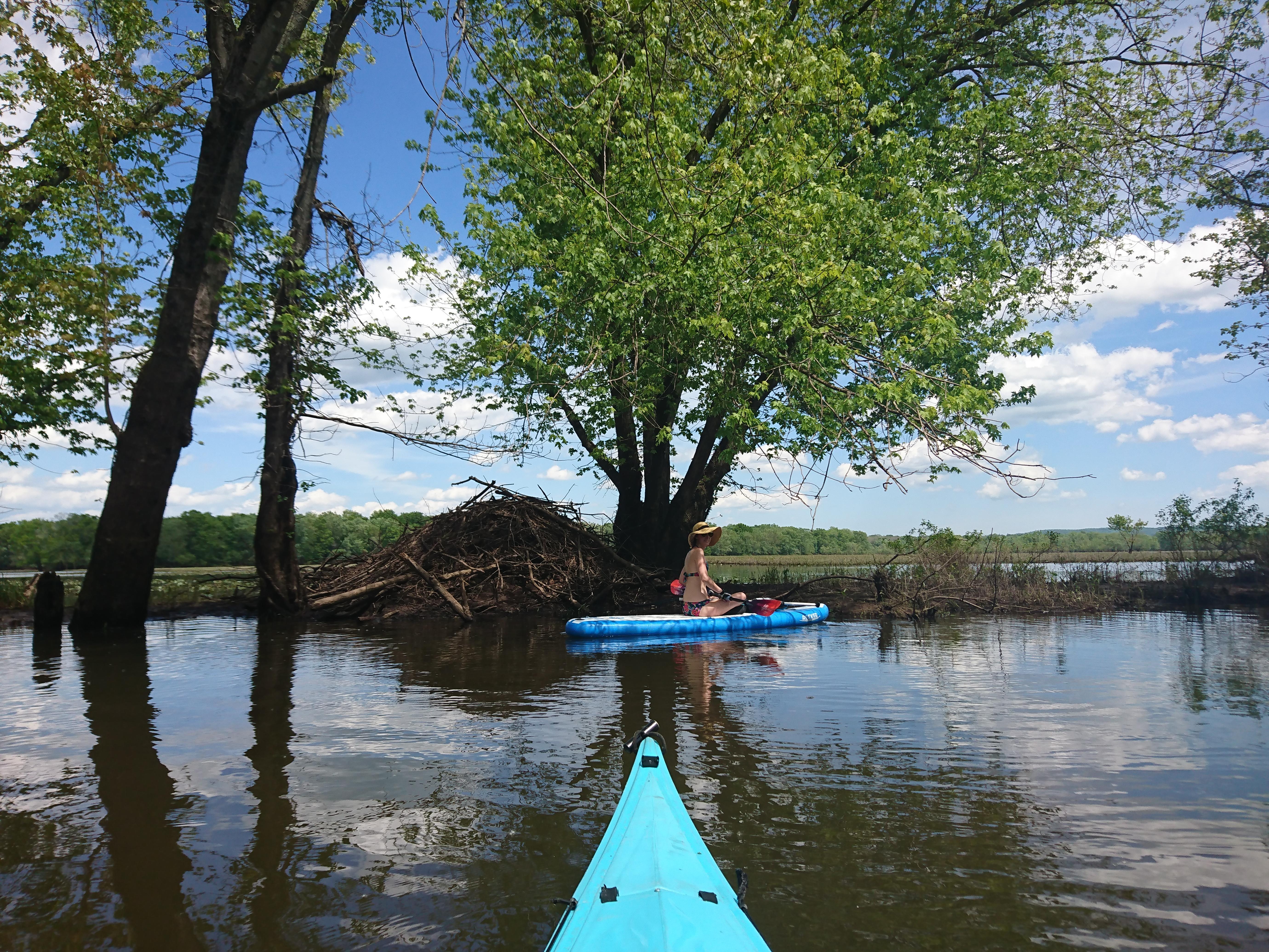 Kayaking on the Mattabasset River, Middletown, CT r/Connecticut
