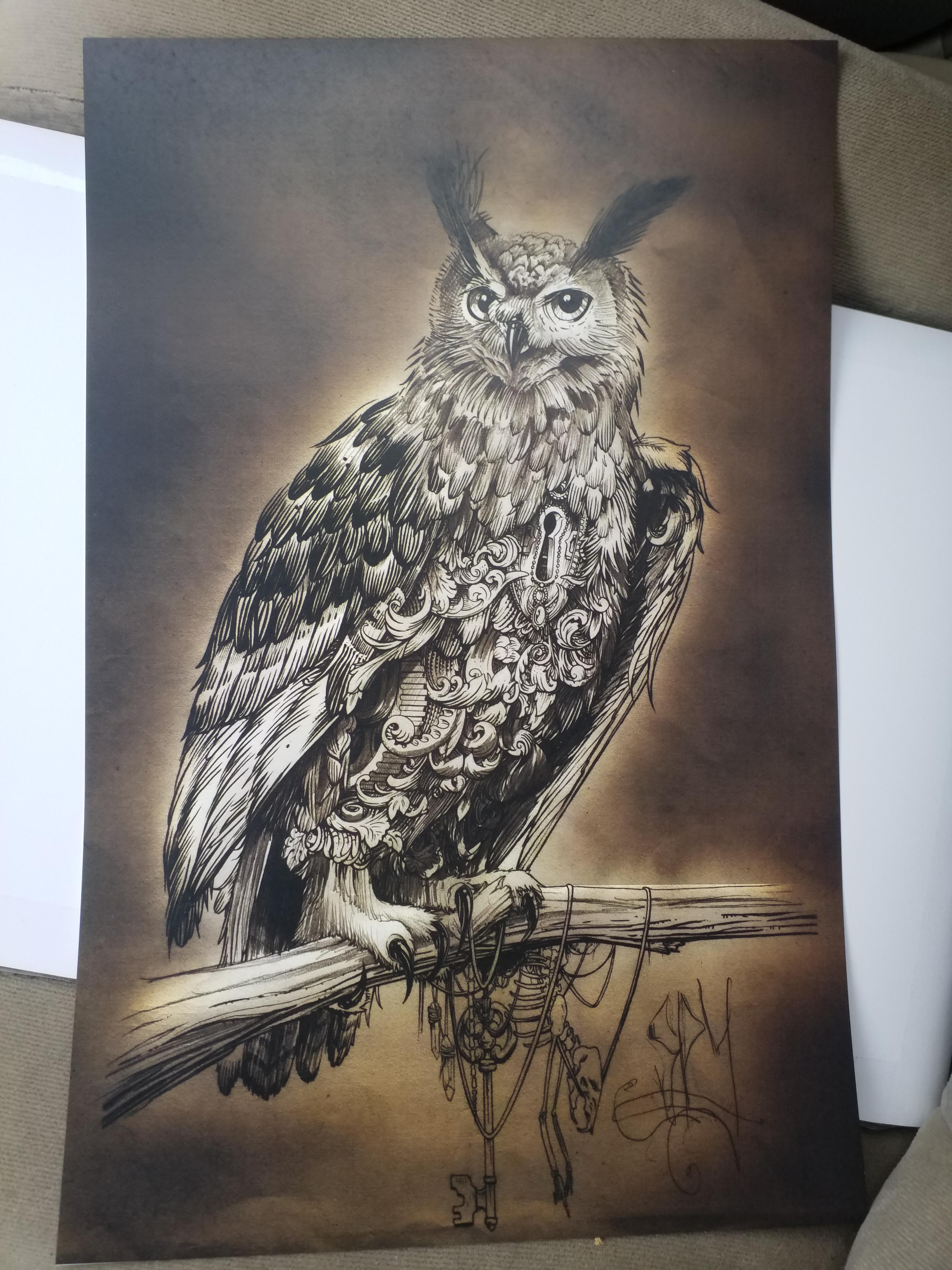 Night owl Filigree, Print , 11"x17" Art