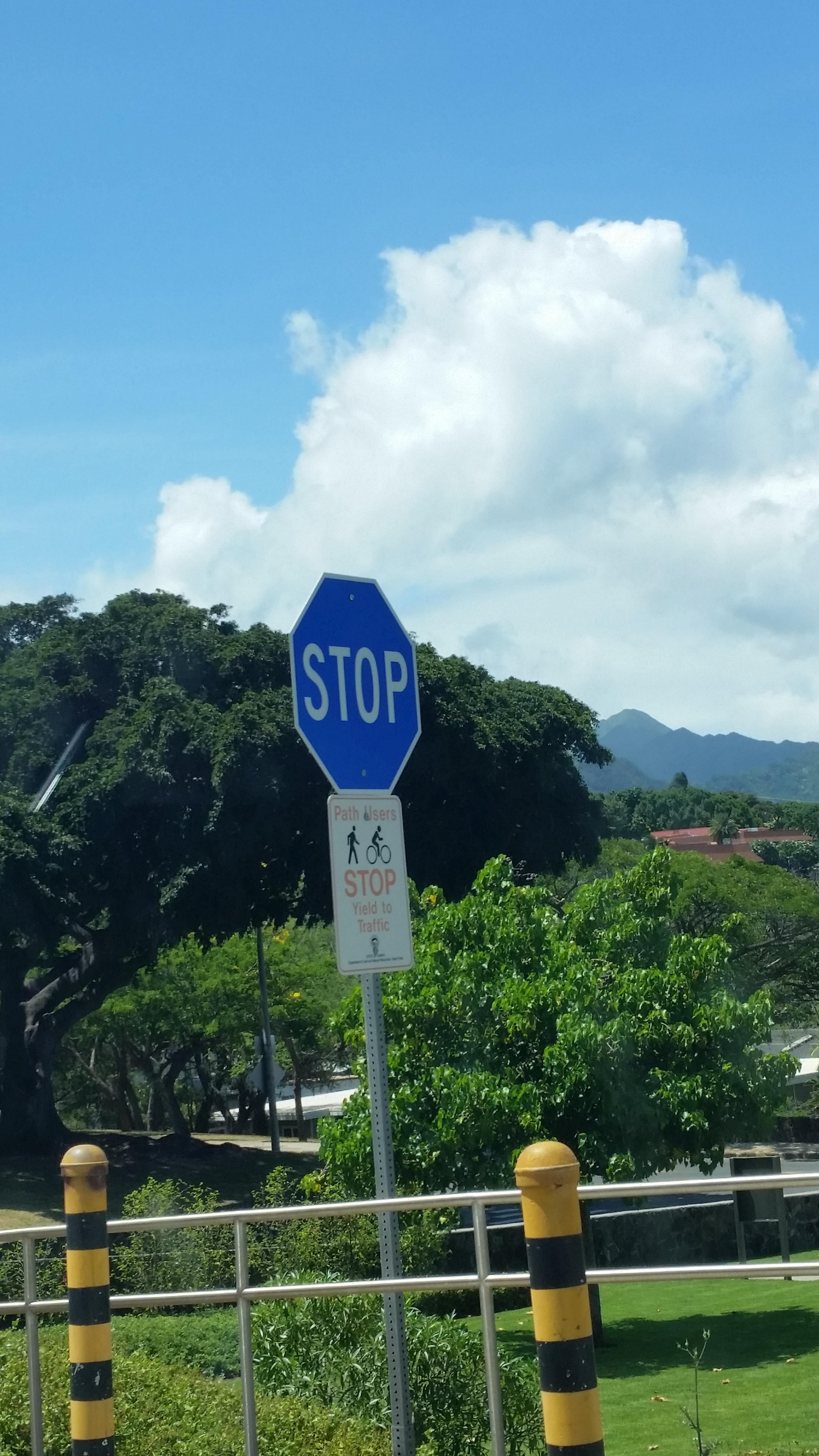 A blue stop sign in Hawaii r/mildlyinteresting
