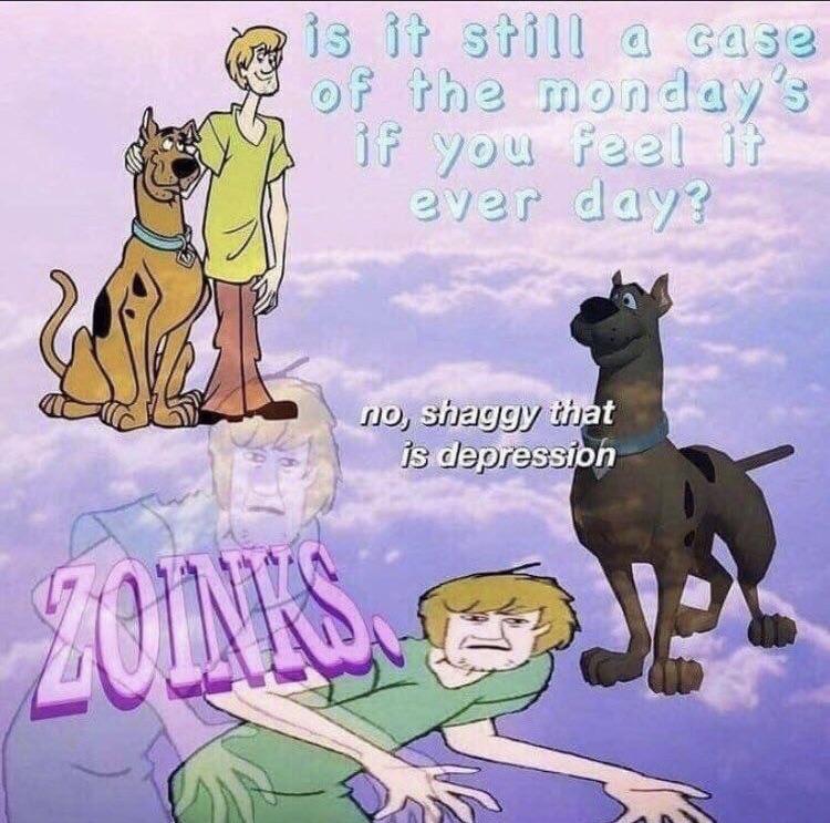 zoinks indeed shaggy boy r/ScoobyDooMemes