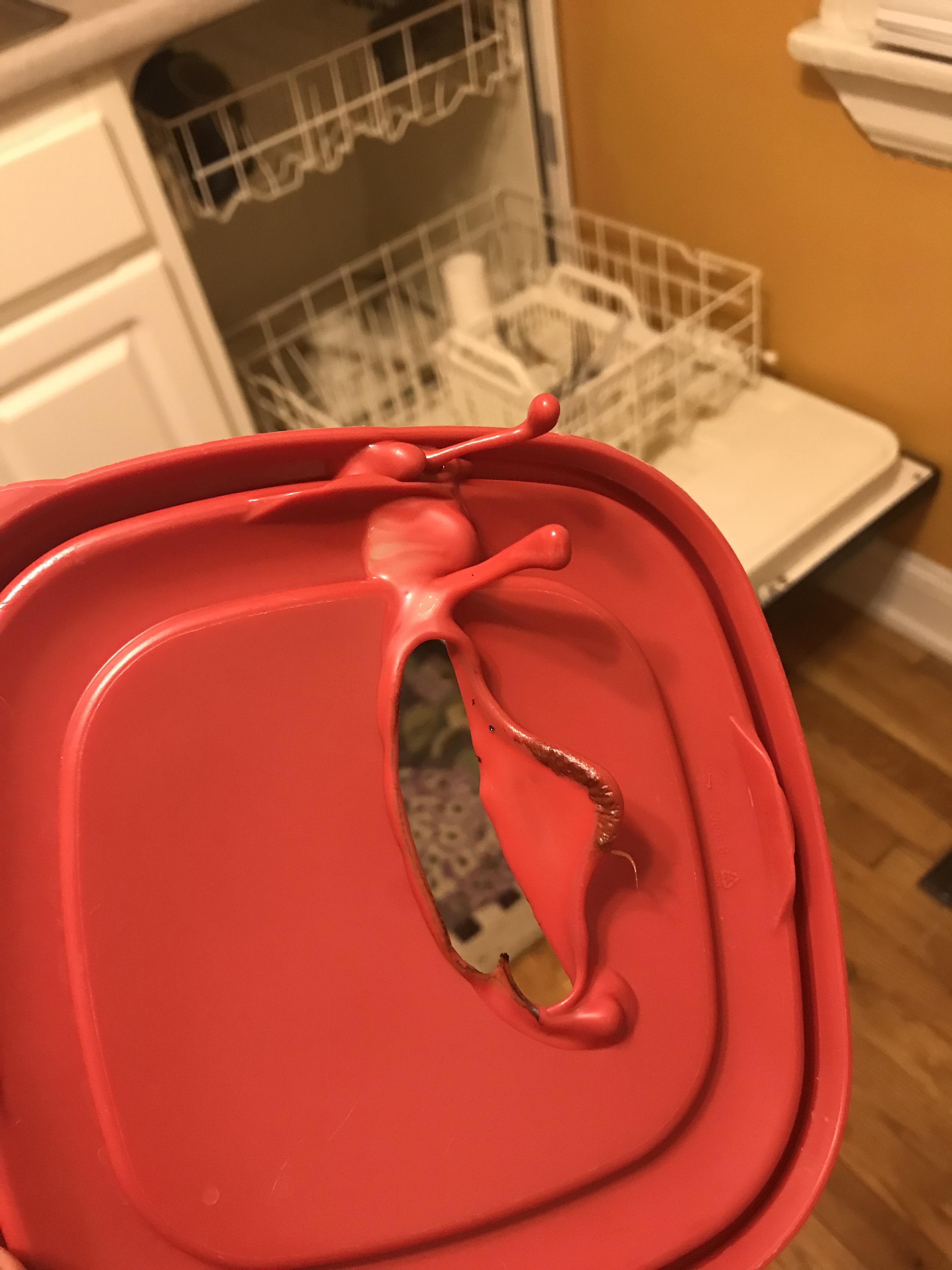 Melted lid from the dishwasher r/mildlyinteresting