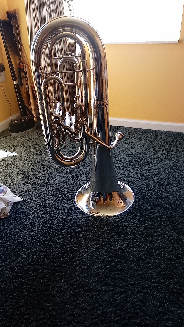 Just got my first horn! r/euphonium