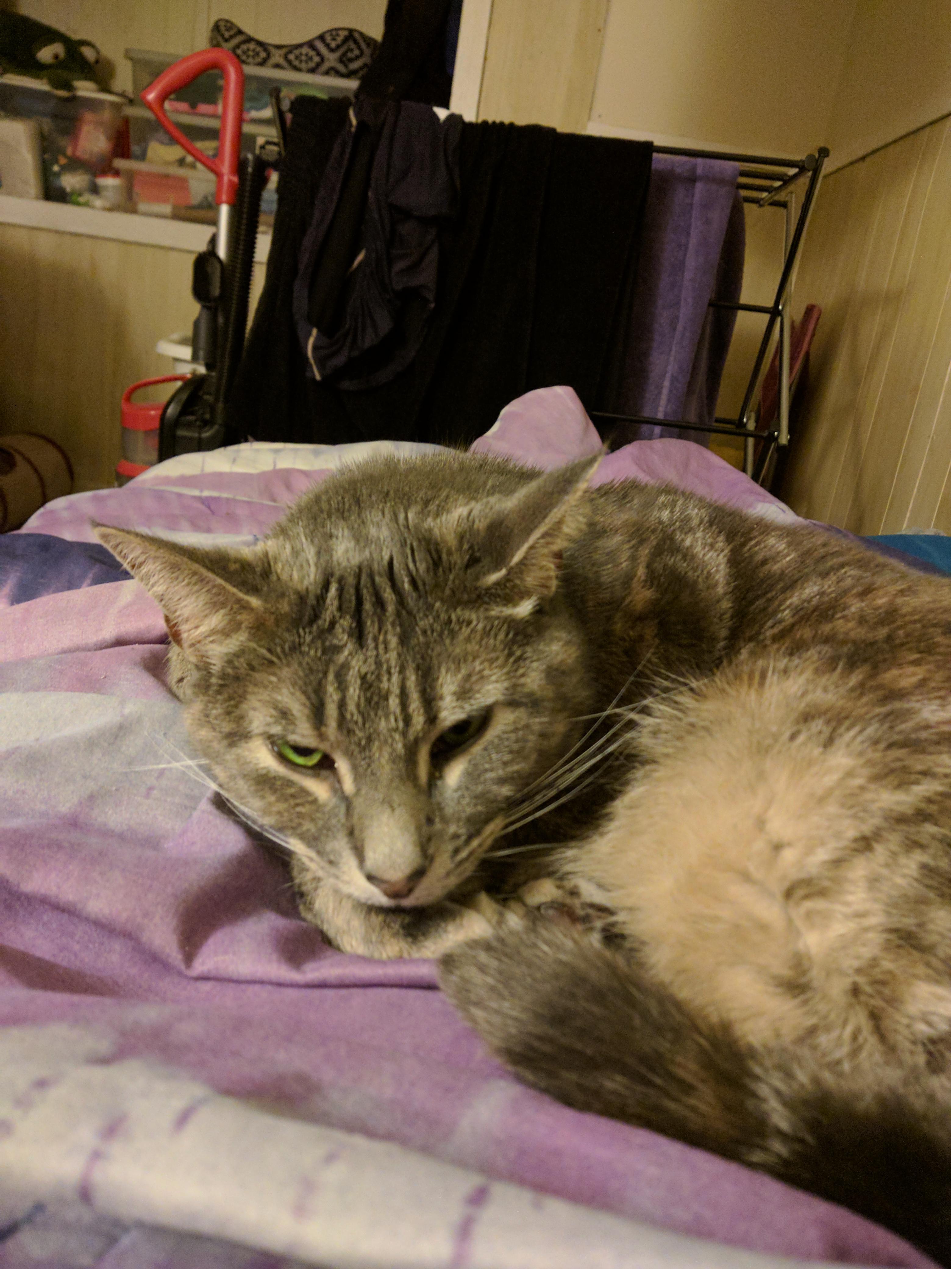 What does this face mean... r/aww