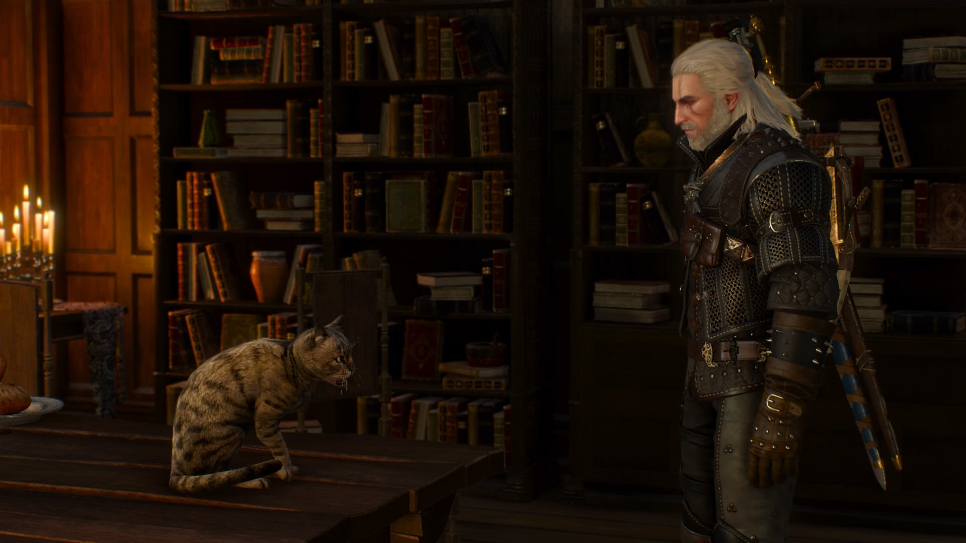 What's with Geralt and the cats? r/witcher