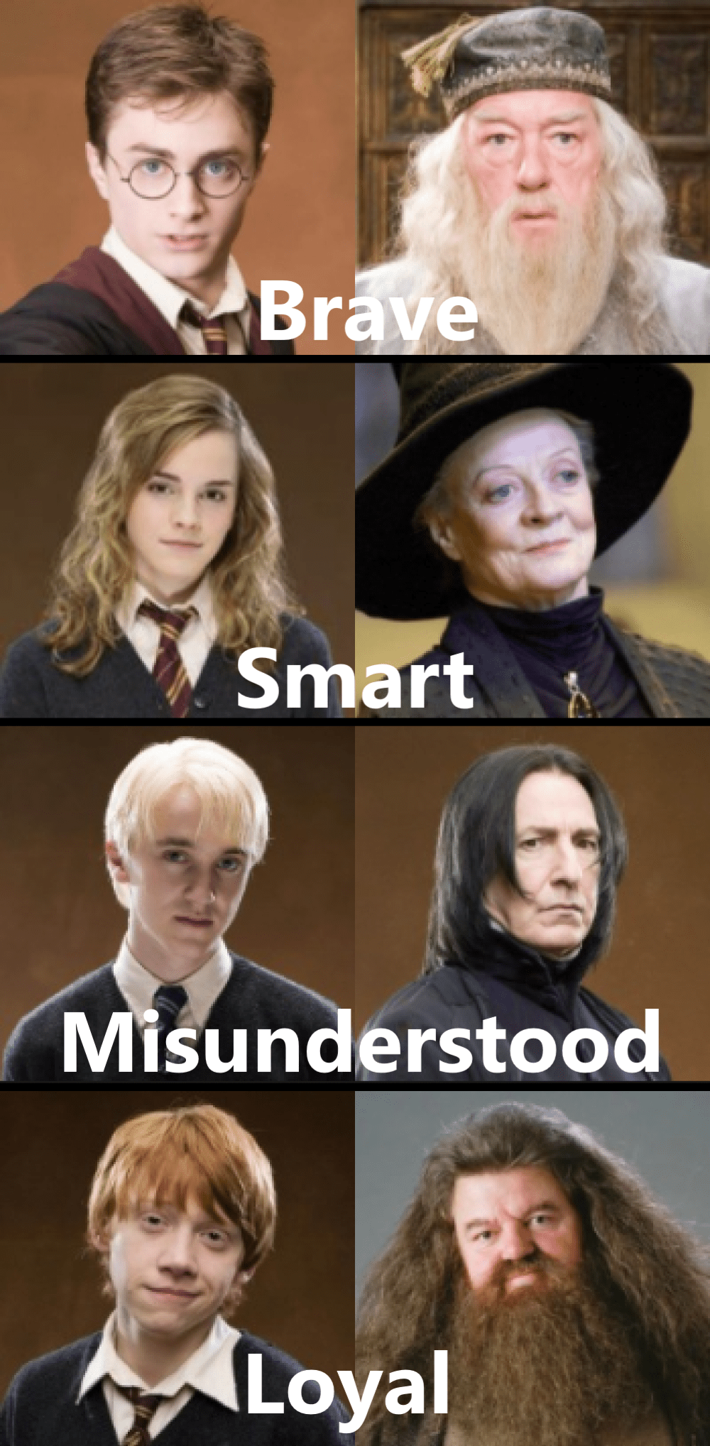 Studentprofessor similarities meme r/harrypotter