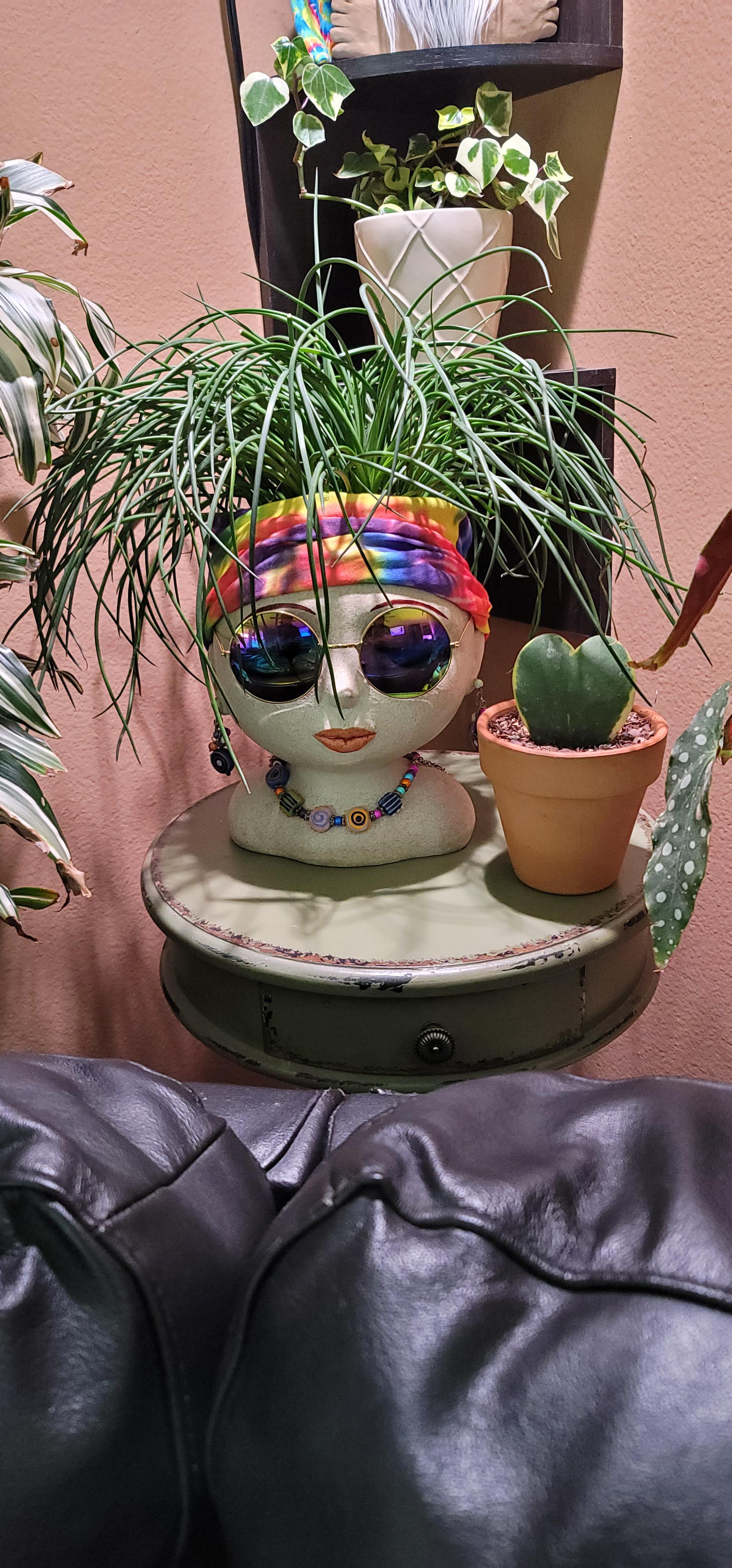 ♥️ My Pothead r/plantsandpots