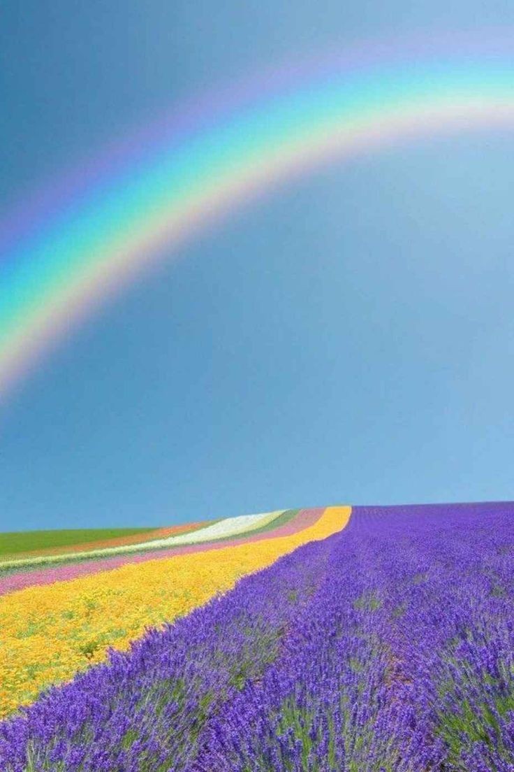 Somewhere under the rainbow, fields are colorful r/oddlysatisfying