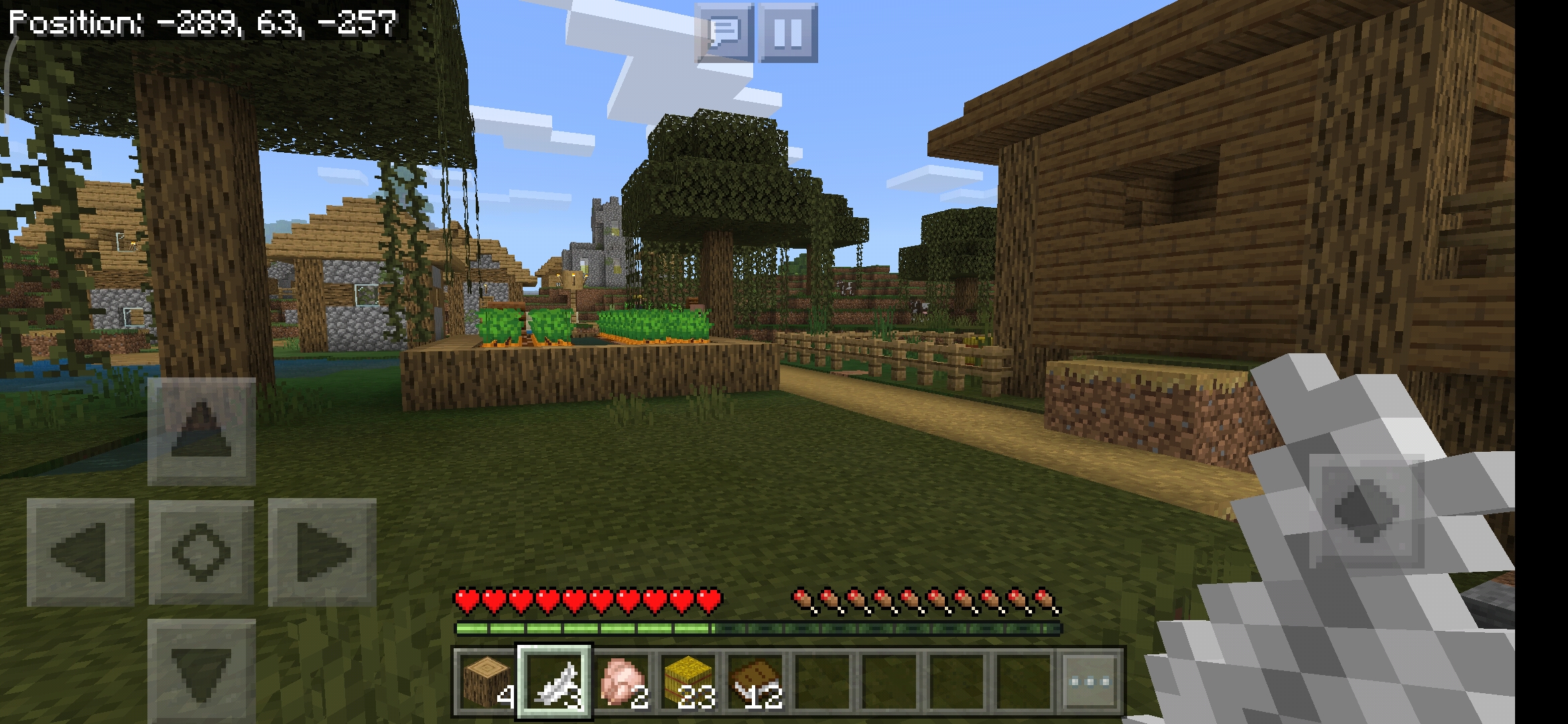A witch hut spawn in a village is pretty rare 👀 MCPE
