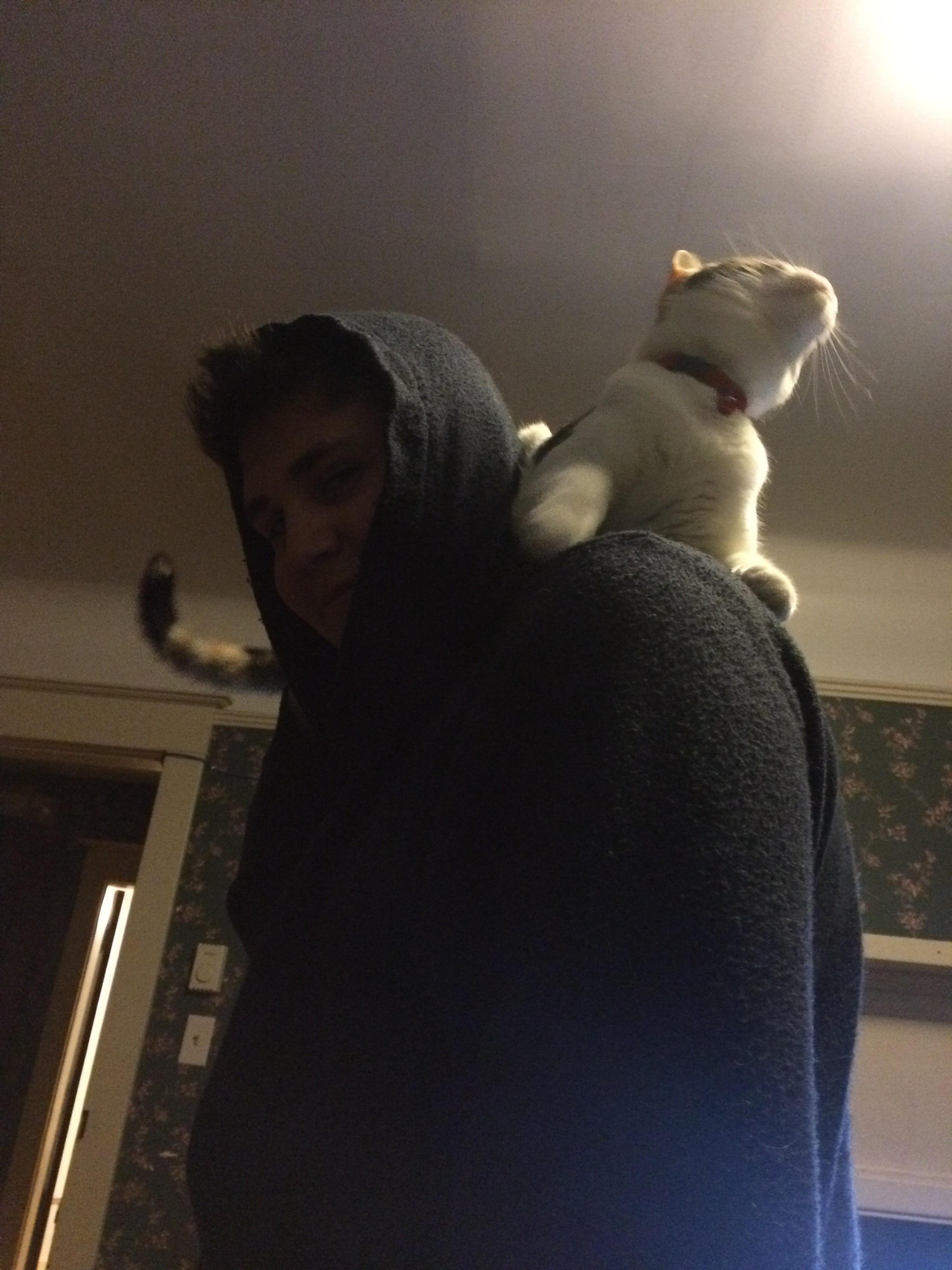 My Boyfriend is my Cat’s Favorite Person! r/shouldercats