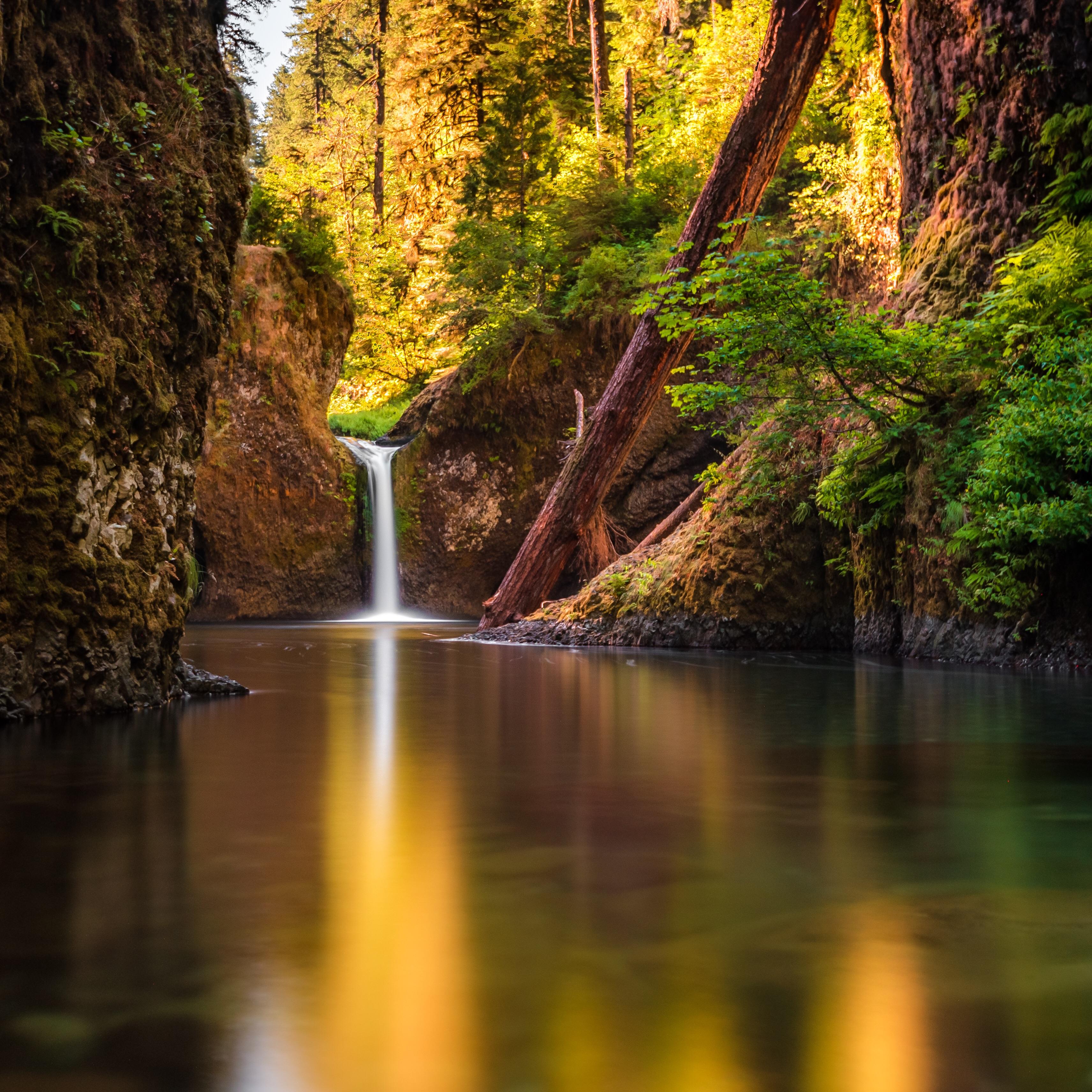 Punch Bowl Falls, at the Eagle Creek Trail, OR. [OC] [3242x3242] r/EarthPorn
