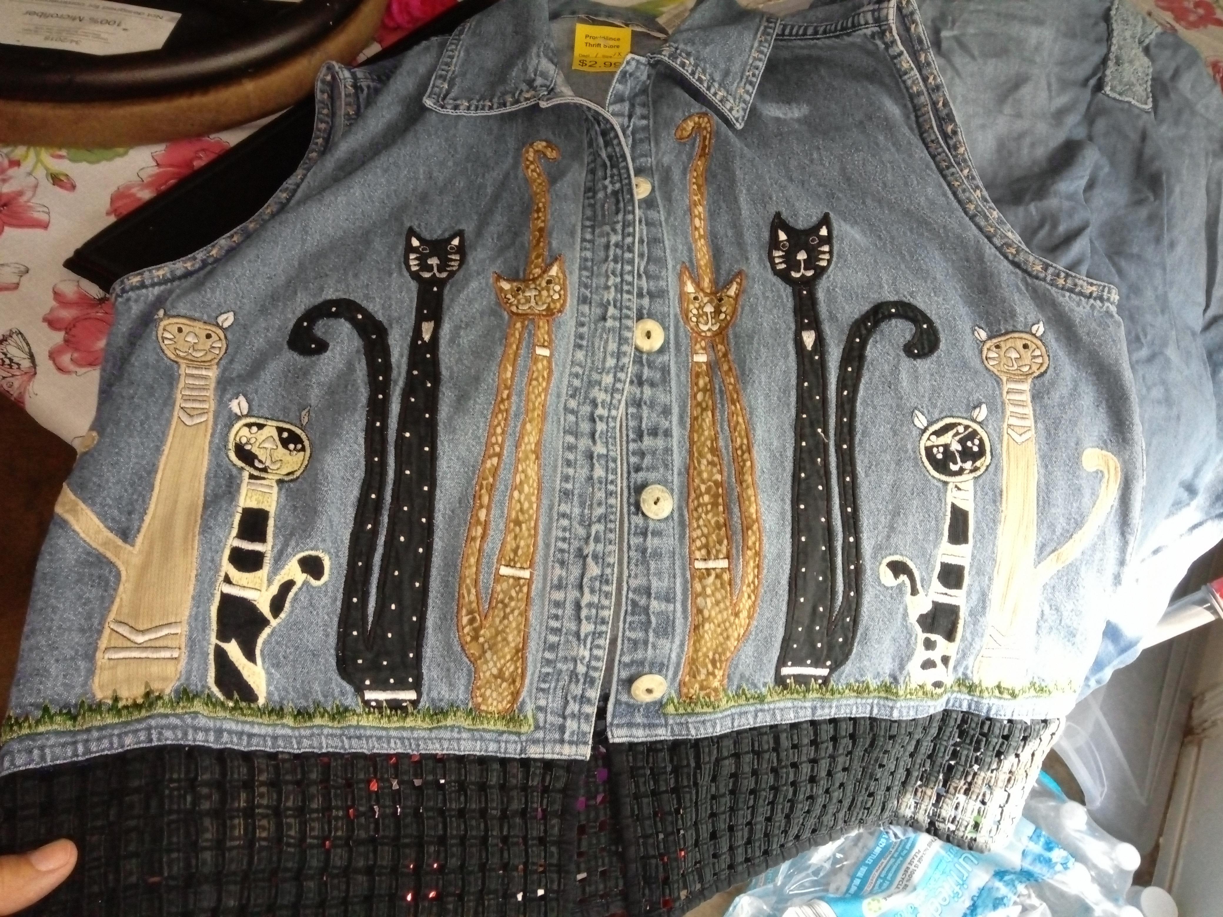 You really can't go wrong with a 3 denim cat vest. r/ThriftStoreHauls
