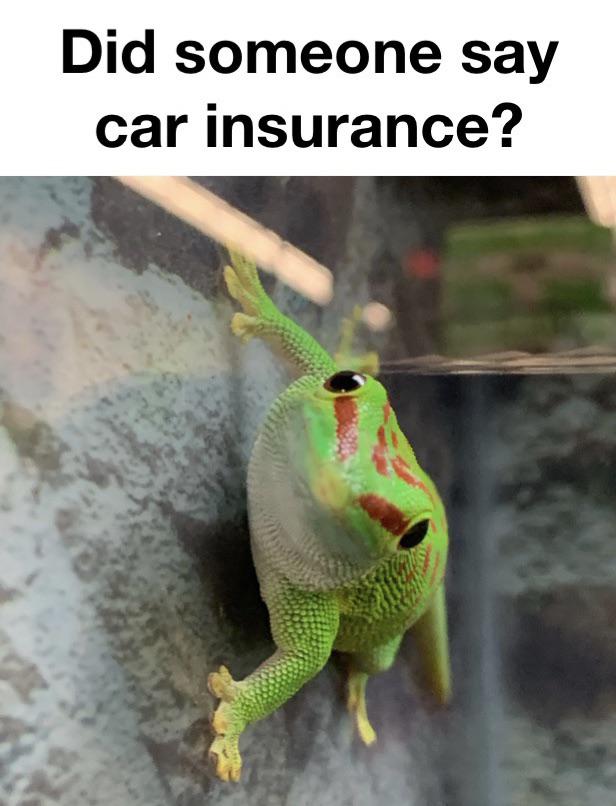 Geico can save you 15 or more on car insurance r/memes