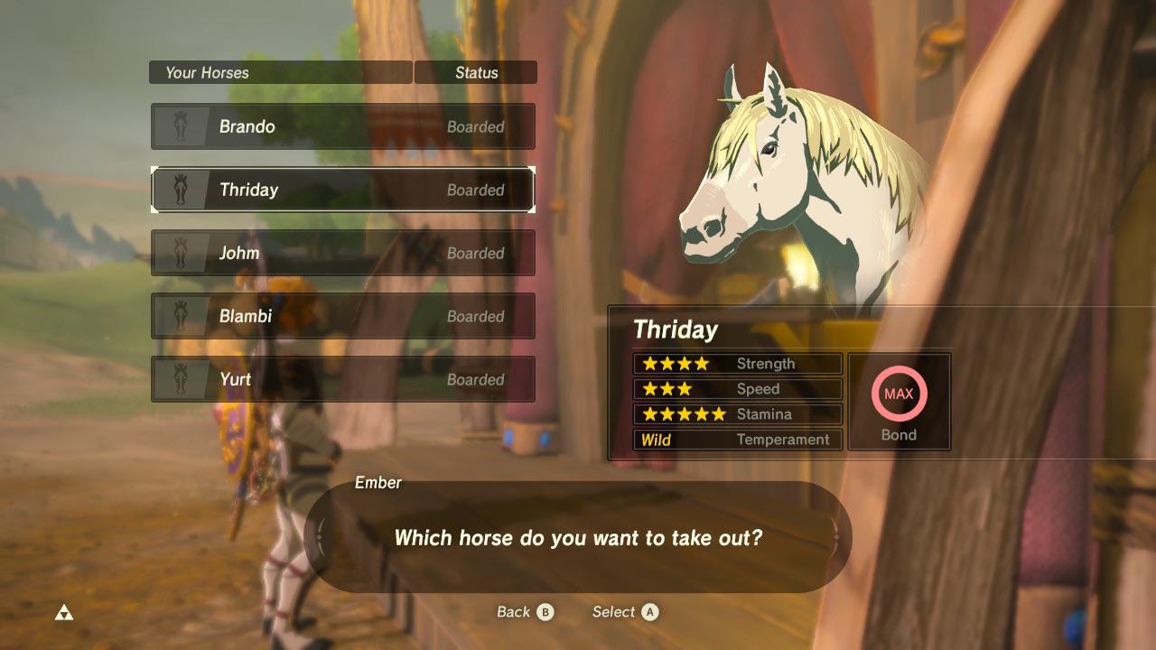 [BoTW]Show me your horse names! This is one of my favorite unimportant