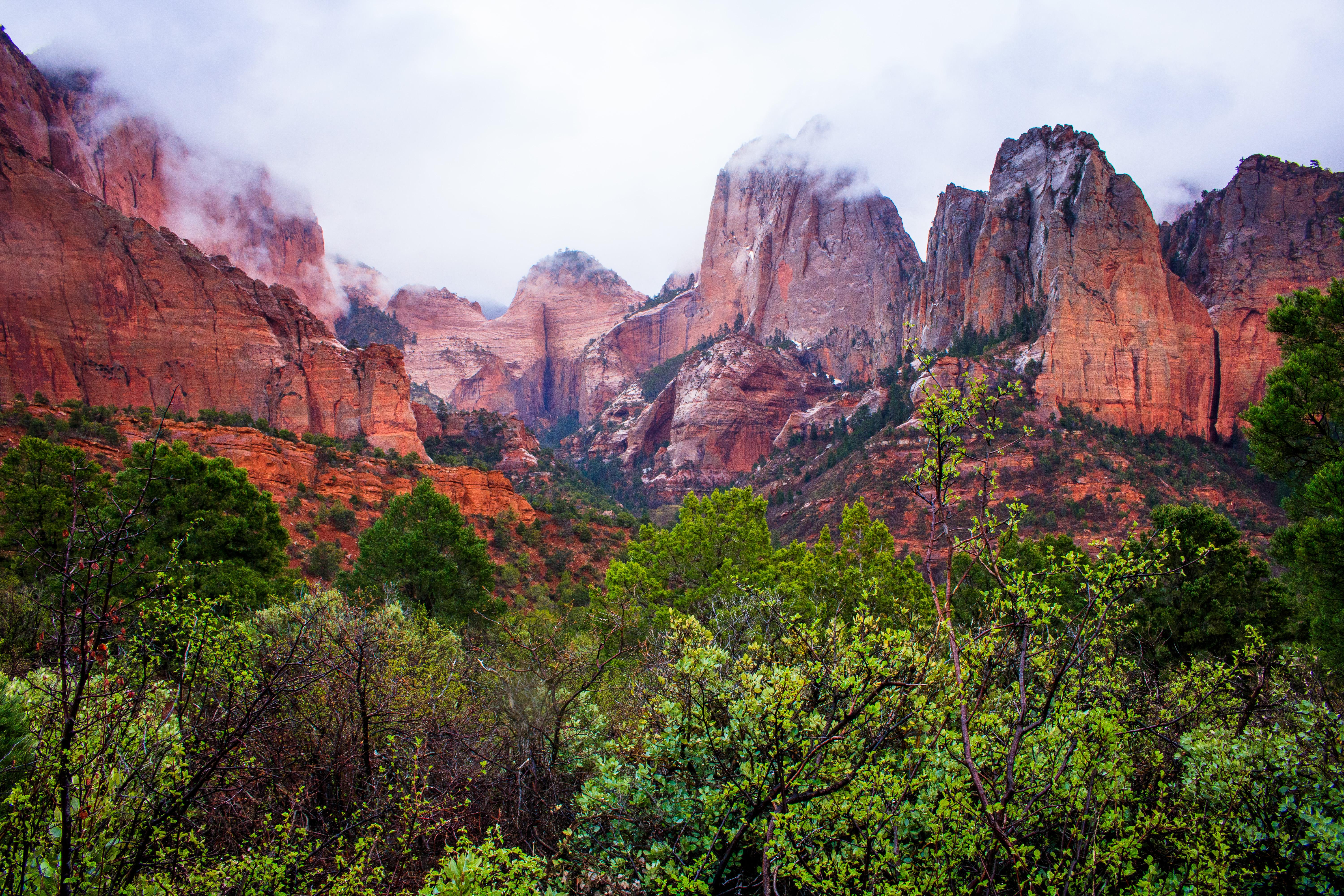 Expose Nature Zion National Park in a dramatic mist along the Trans