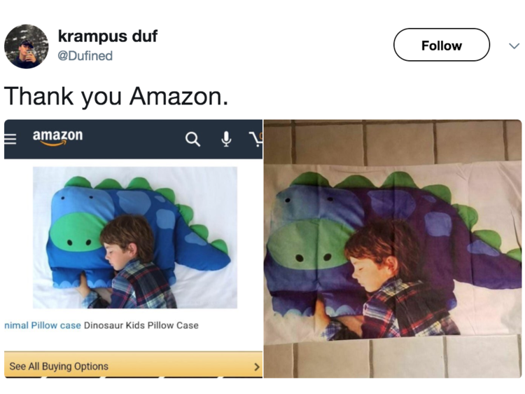 Kids' Dinosaur Pillow Case r/ExpectationVsReality