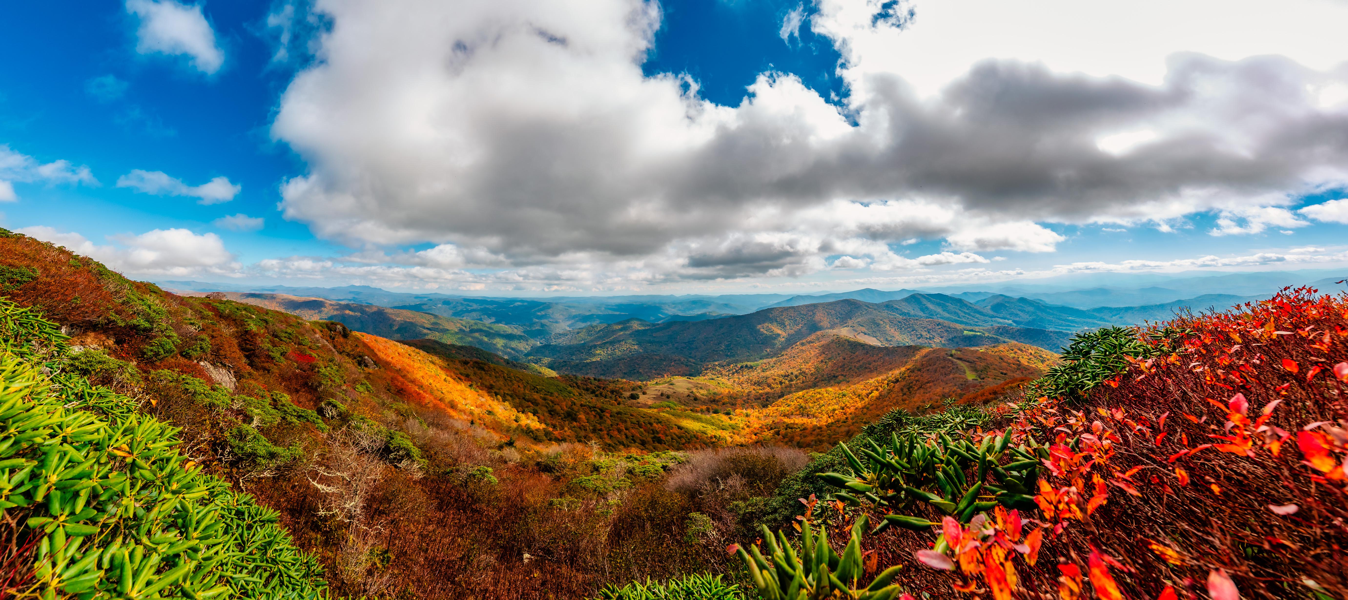 Panorama of fall on top of Roan Mountain, located on the Tennessee