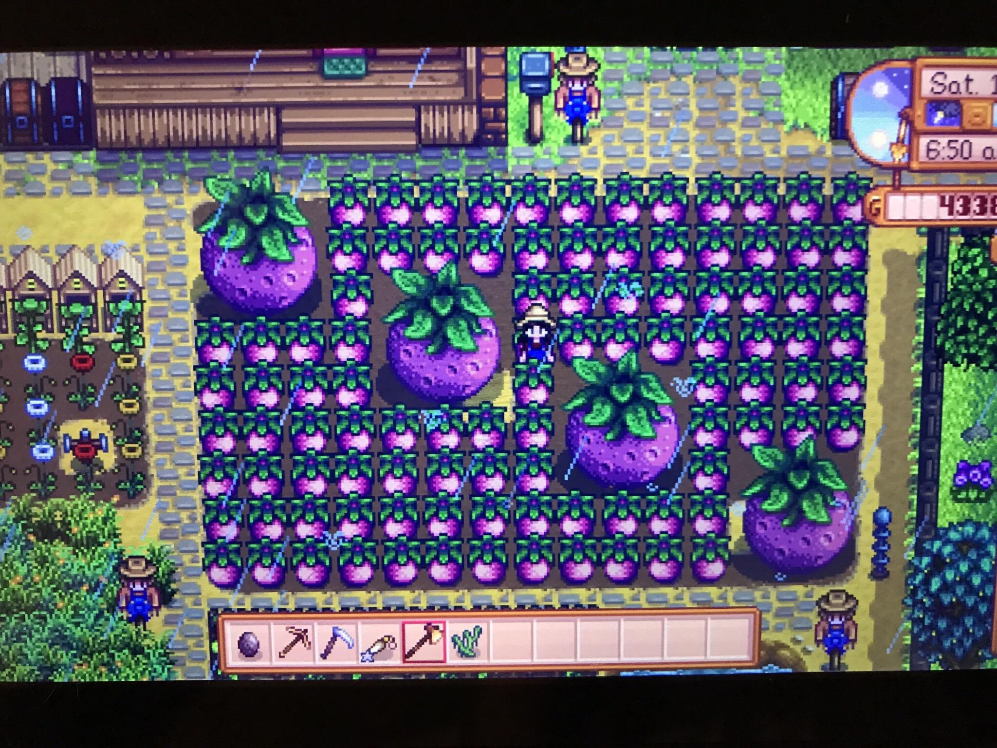 I will see your first season giant melon and raise you 3 more in the