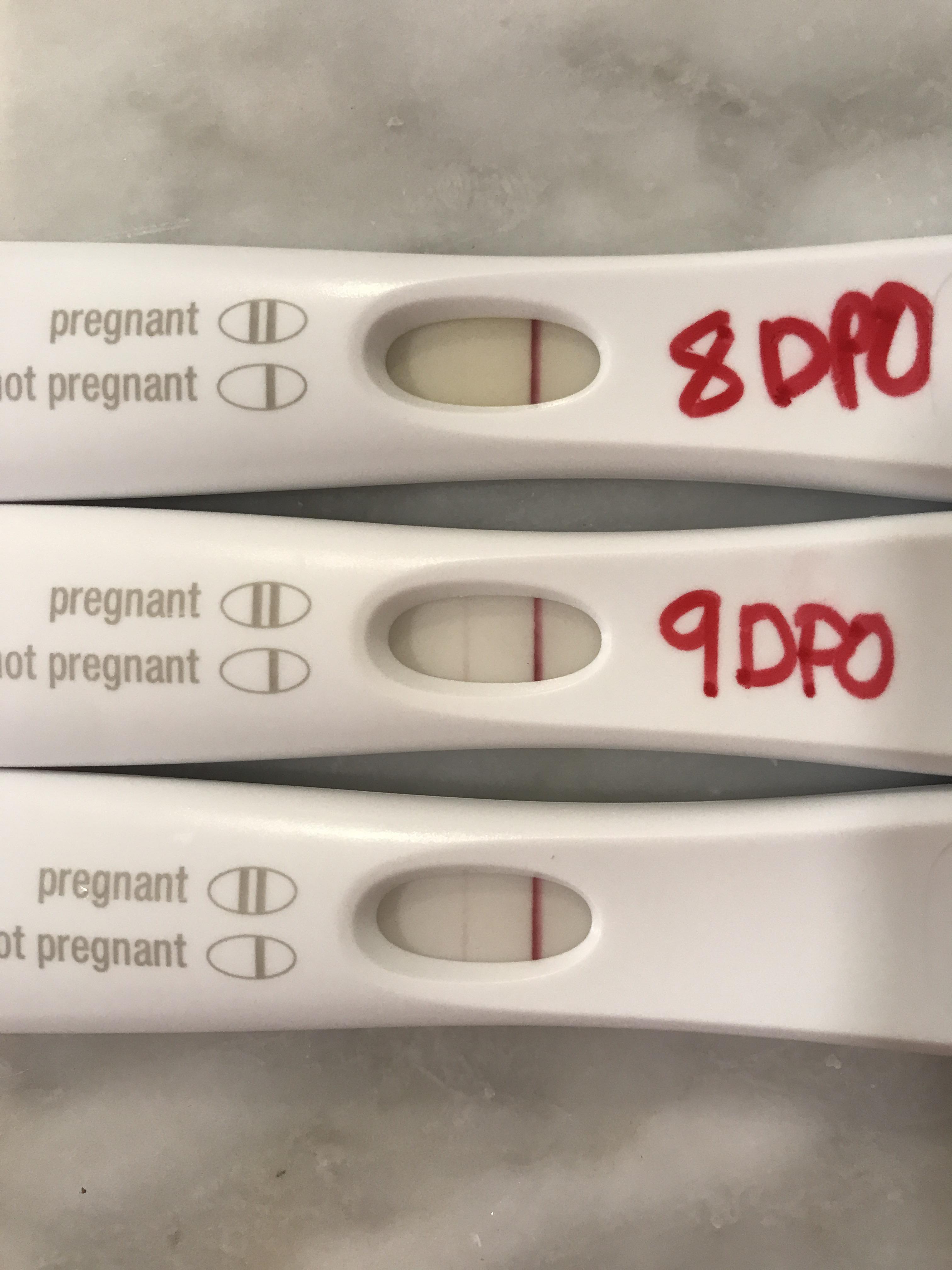 Milenium Home Tips Why Would A Pregnancy Test Be Blank