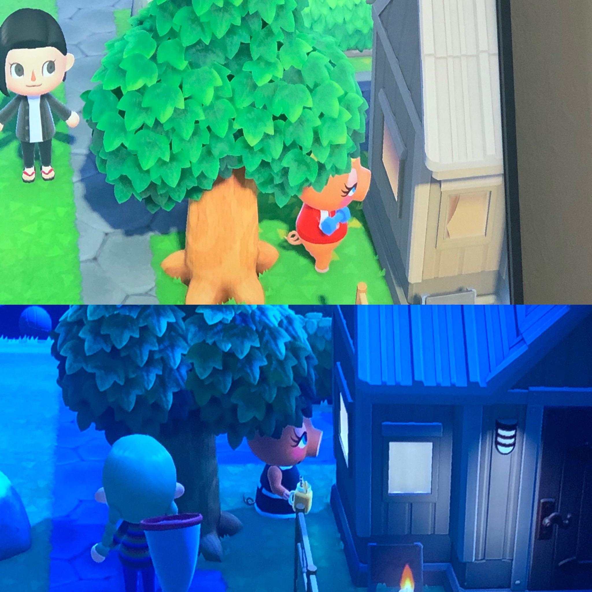 First I caught Pancetti staring into Kyle’s house during her workout