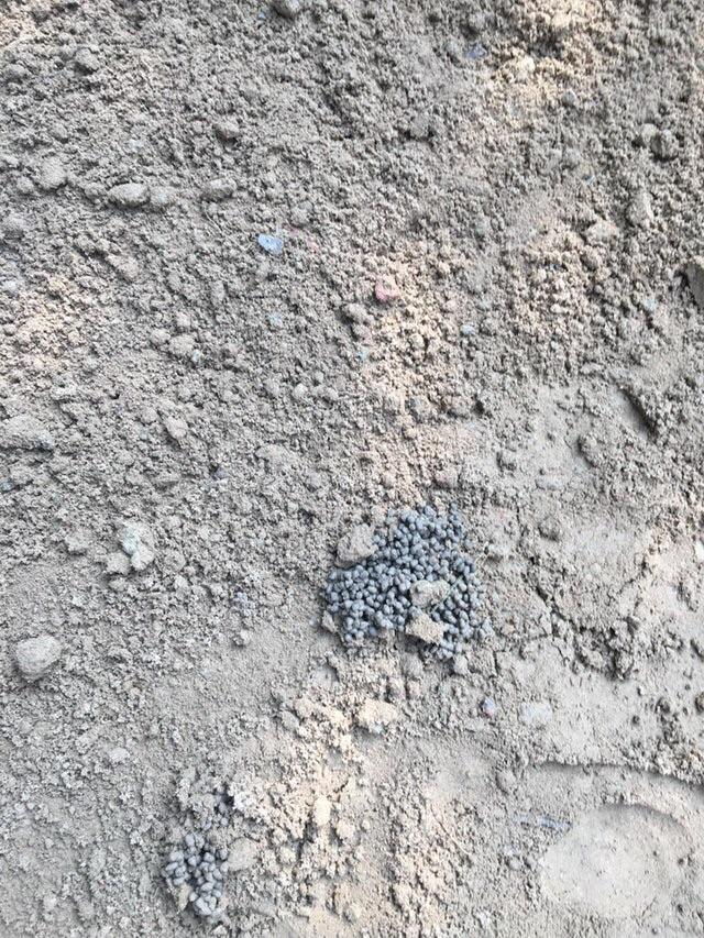 Created by some organisms in wet soil. Small balls in soil. What are